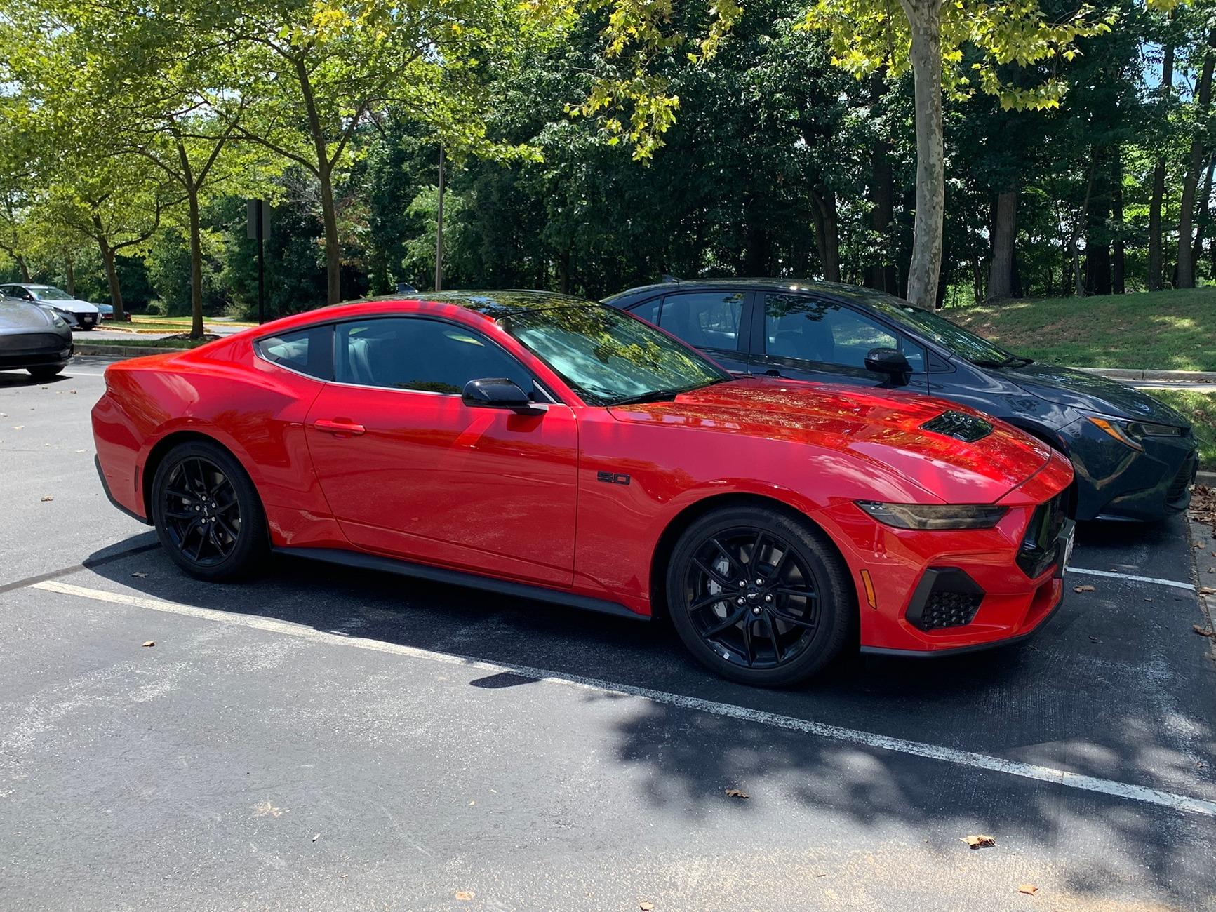 S650 Mustang Official RACE RED Mustang S650 Thread IMG_1583.JPEG
