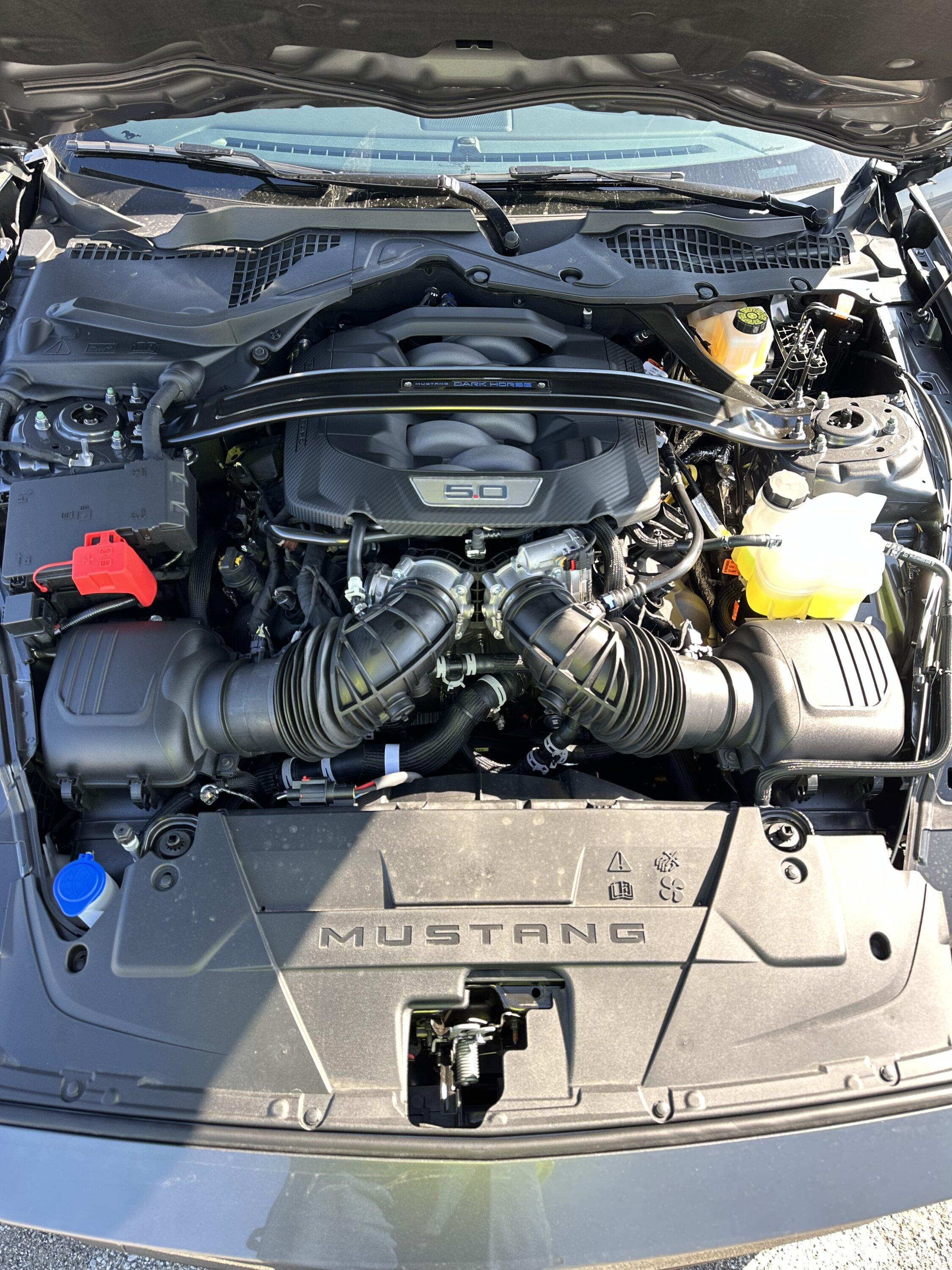 S650 Mustang My 2024 Dark Horse arrived at dealer ahead of schedule (first photos) IMG_1629