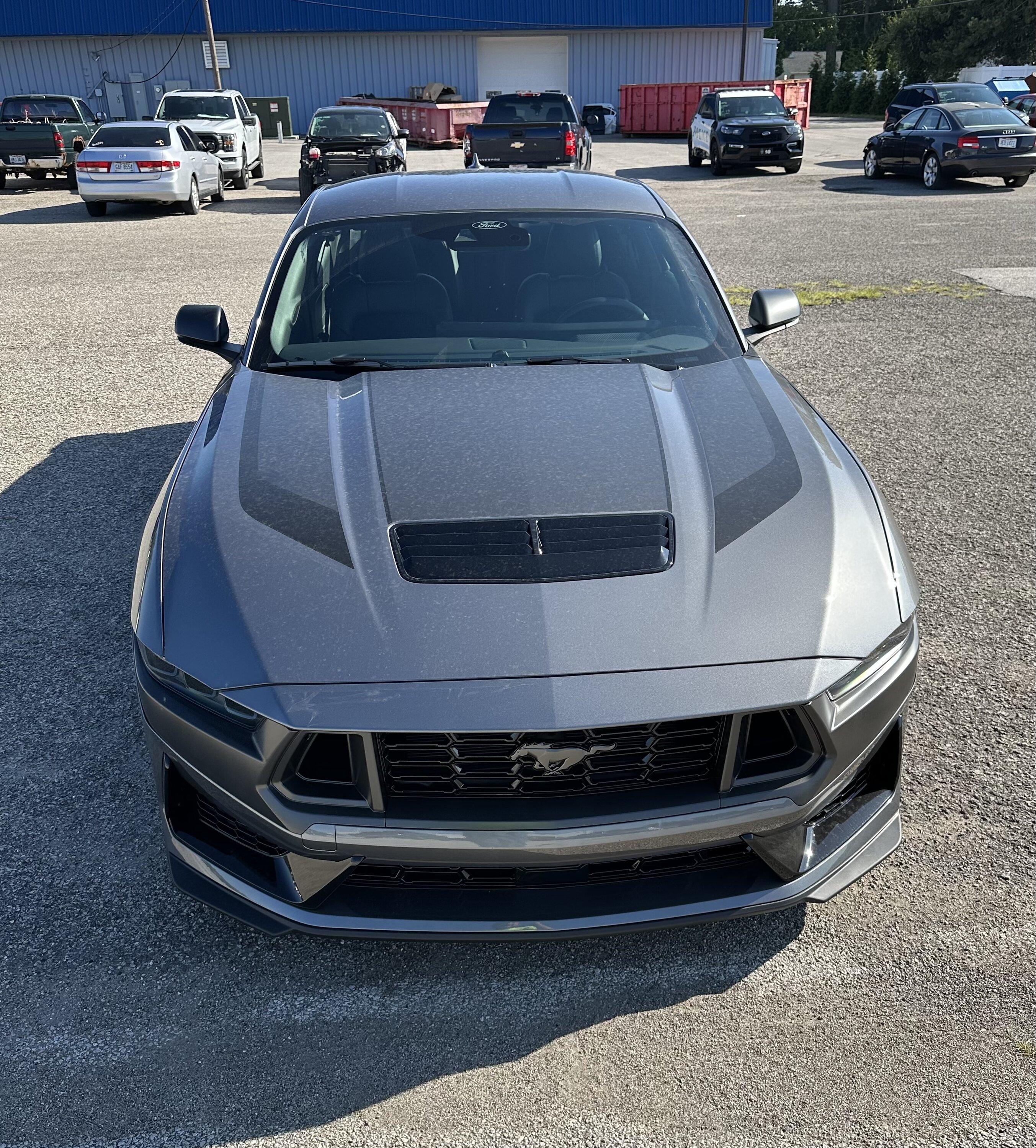 S650 Mustang My 2024 Dark Horse arrived at dealer ahead of schedule (first photos) img_1636-jpe