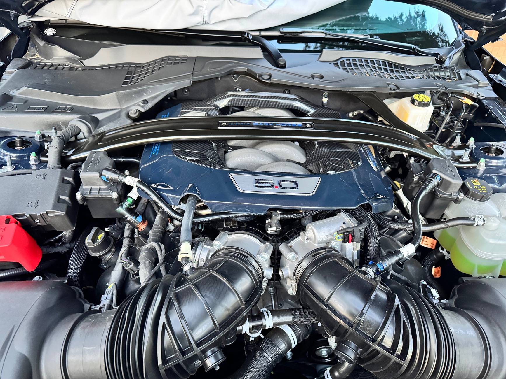 S650 Mustang What did you do to your S650 Mustang today?? 🙋🏻‍♂️ IMG_1643