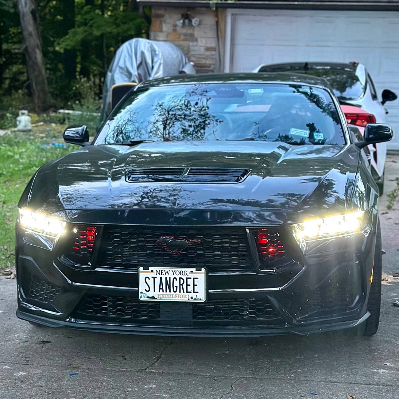 S650 Mustang Share your Fav S650 shot IMG_1648