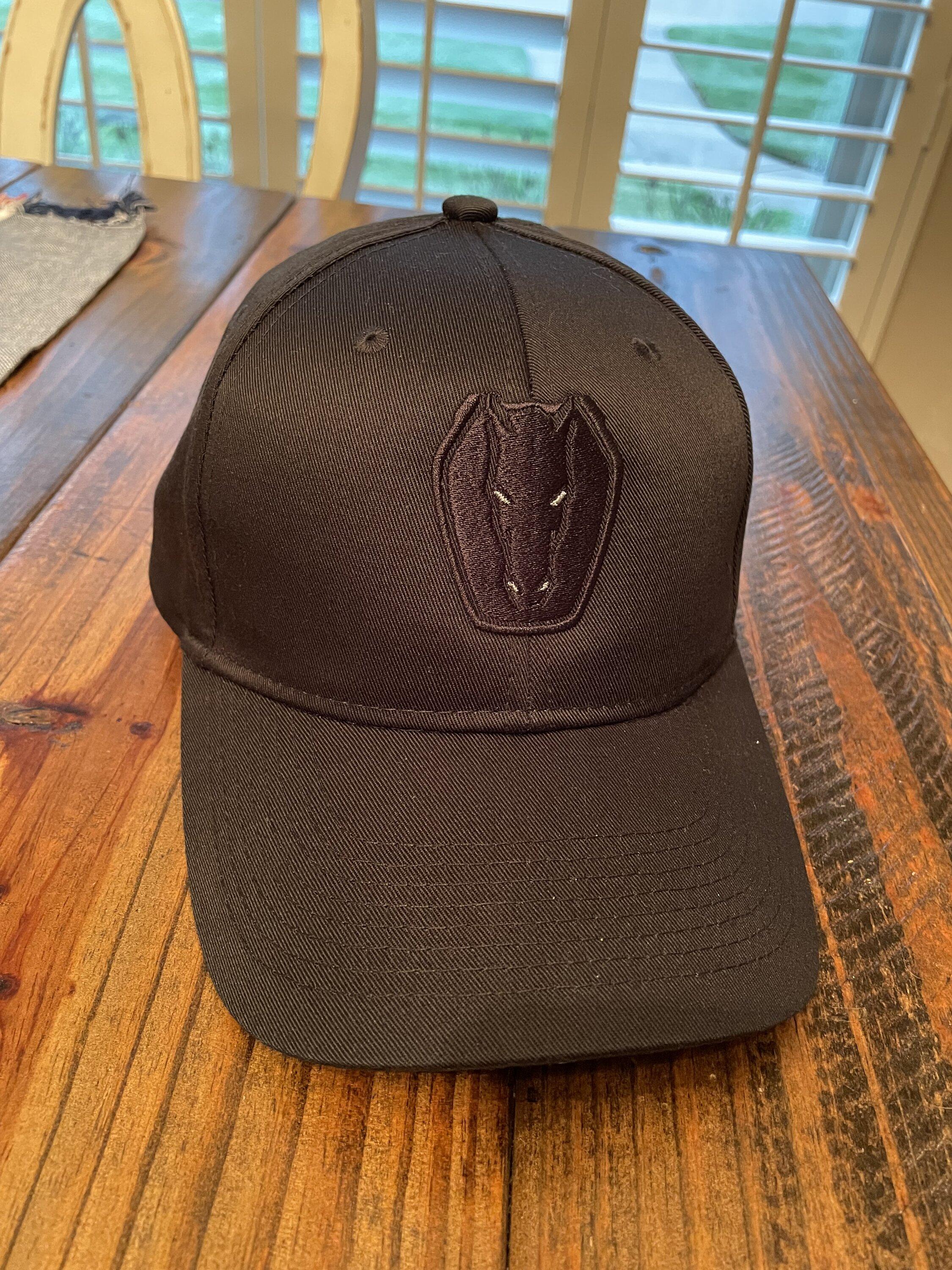 S650 Mustang Have the Merch need the Car! Dark Horse apparel arrived IMG_1759