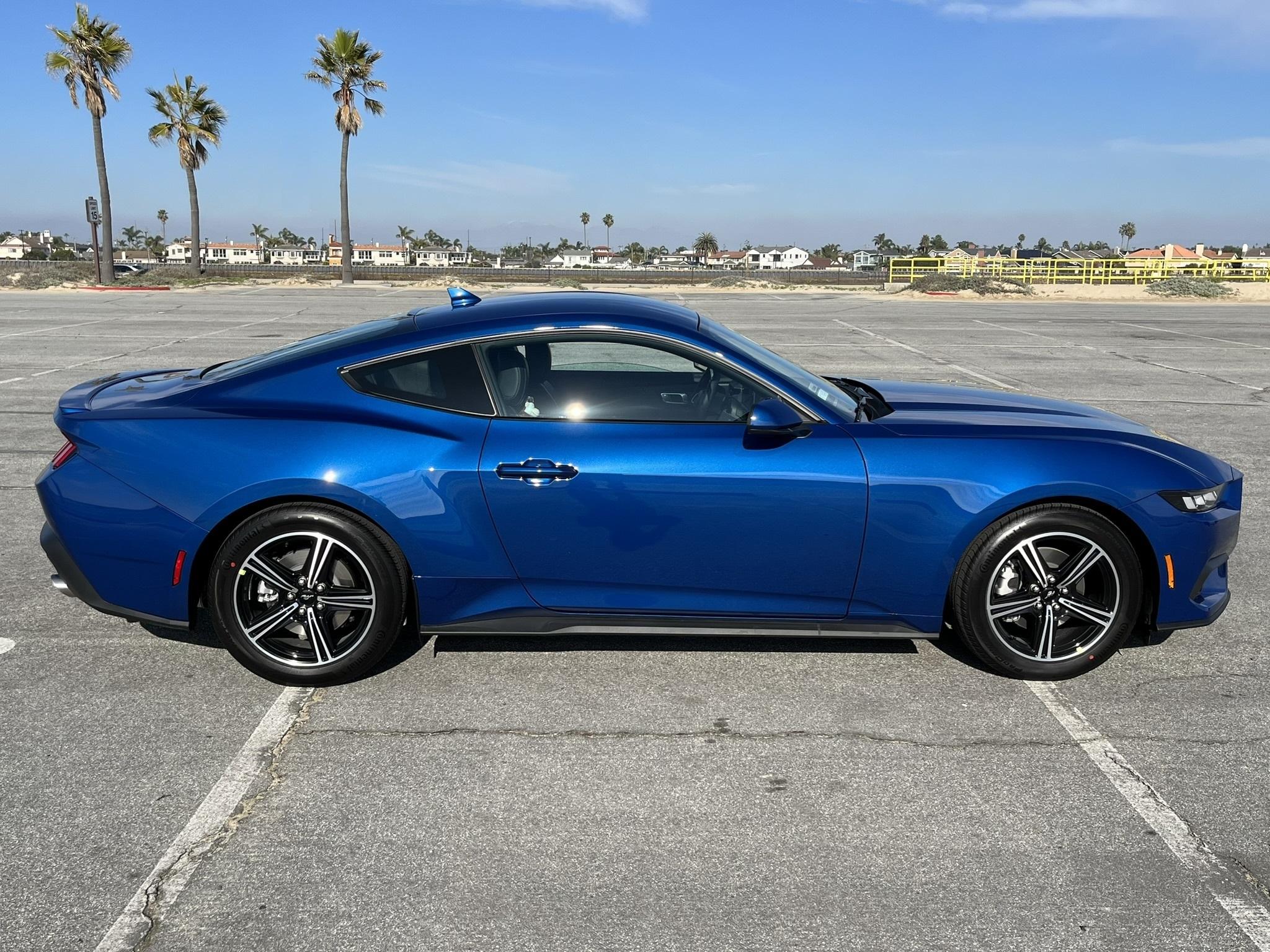 S650 Mustang Official ATLAS BLUE Mustang S650 Thread IMG_1765