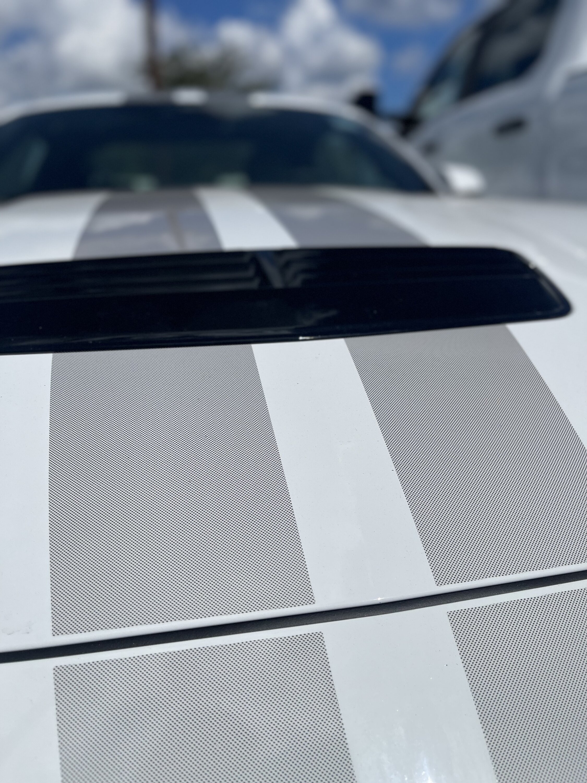 S650 Mustang Opaque factory stripes closeup photos IMG_1775