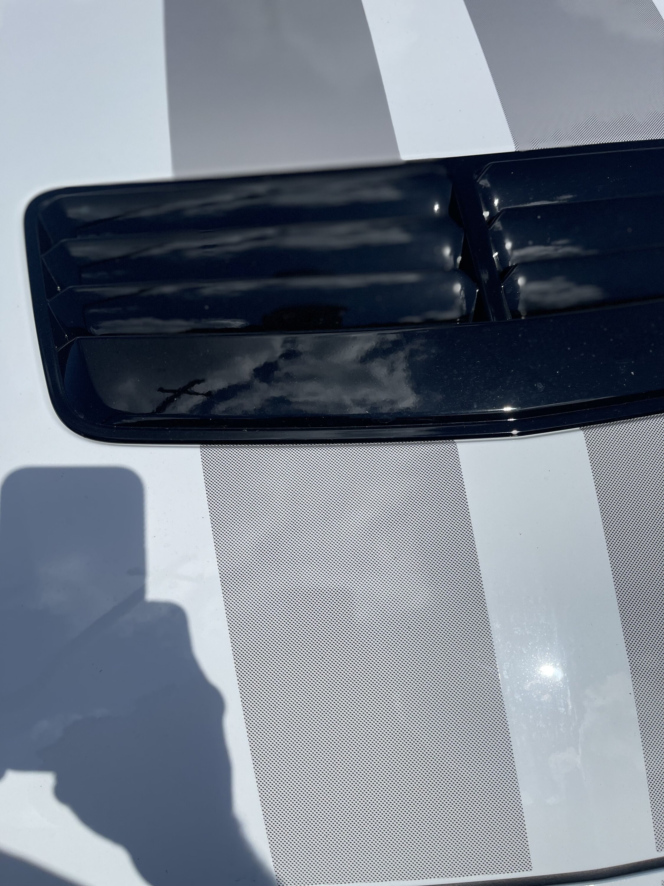 S650 Mustang Opaque factory stripes closeup photos IMG_1777