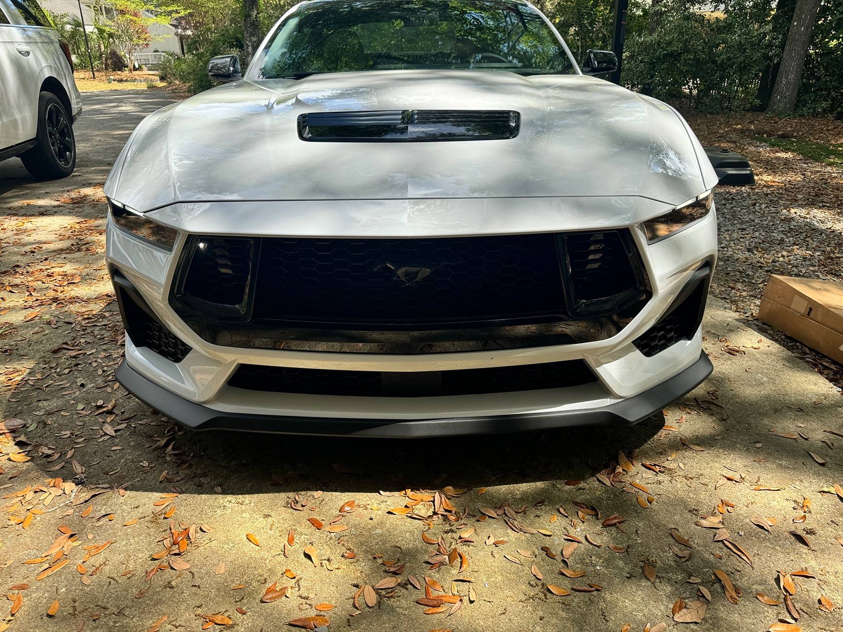 S650 Mustang Air Design Rear Decklid Appliqué -not a fan IMG_1905
