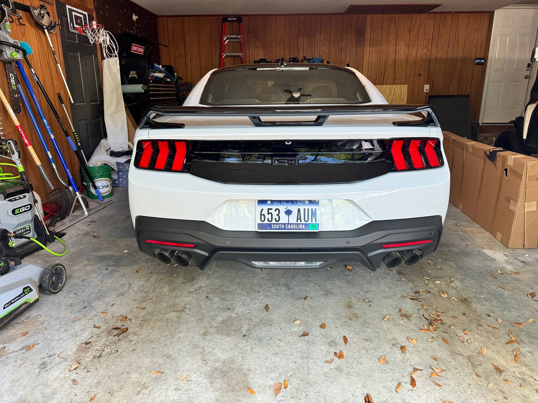 S650 Mustang Air Design Rear Decklid Appliqué -not a fan IMG_1908
