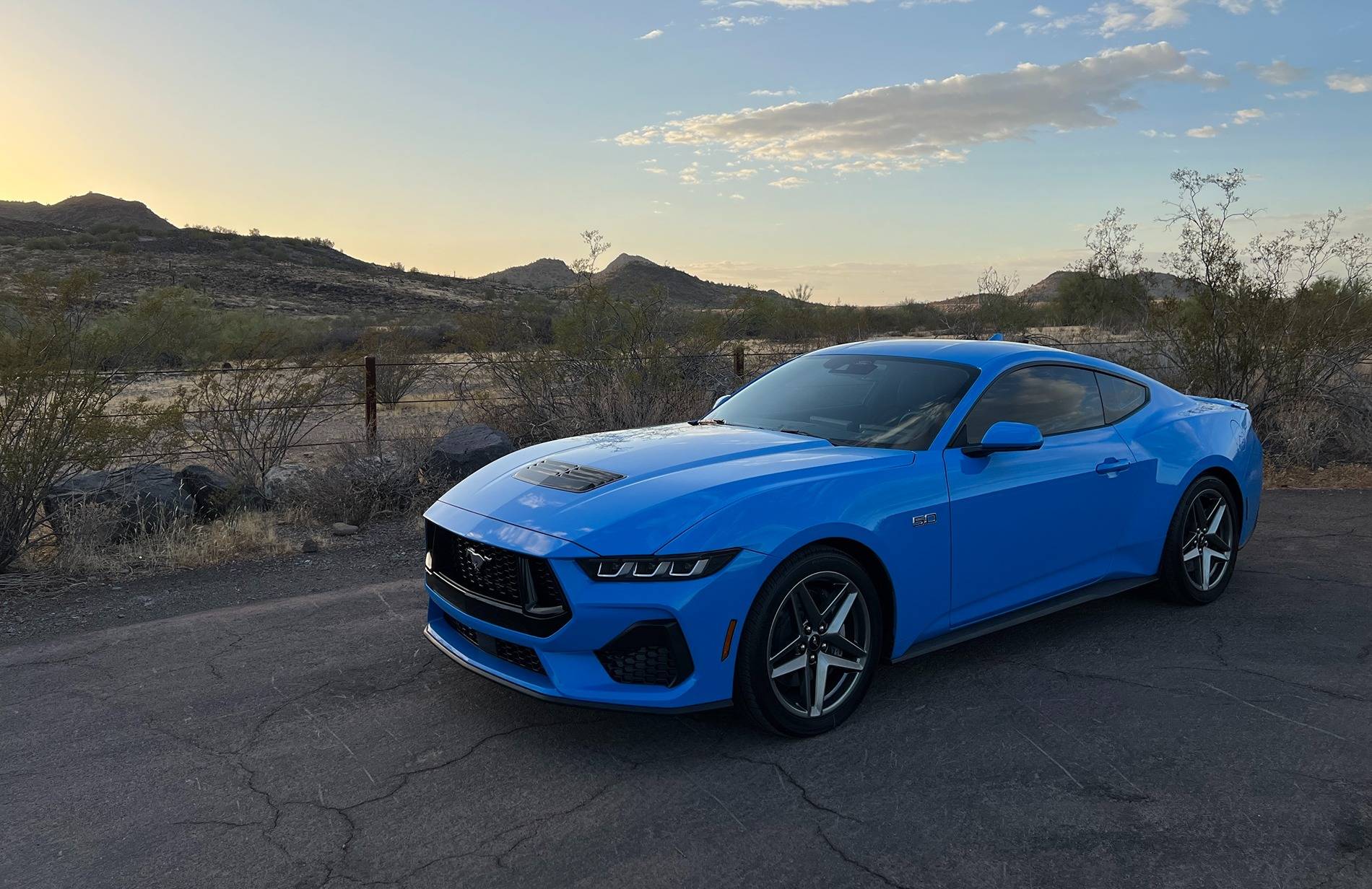 S650 Mustang Introductions & Welcome Thread 👋 IMG_1947.JPG