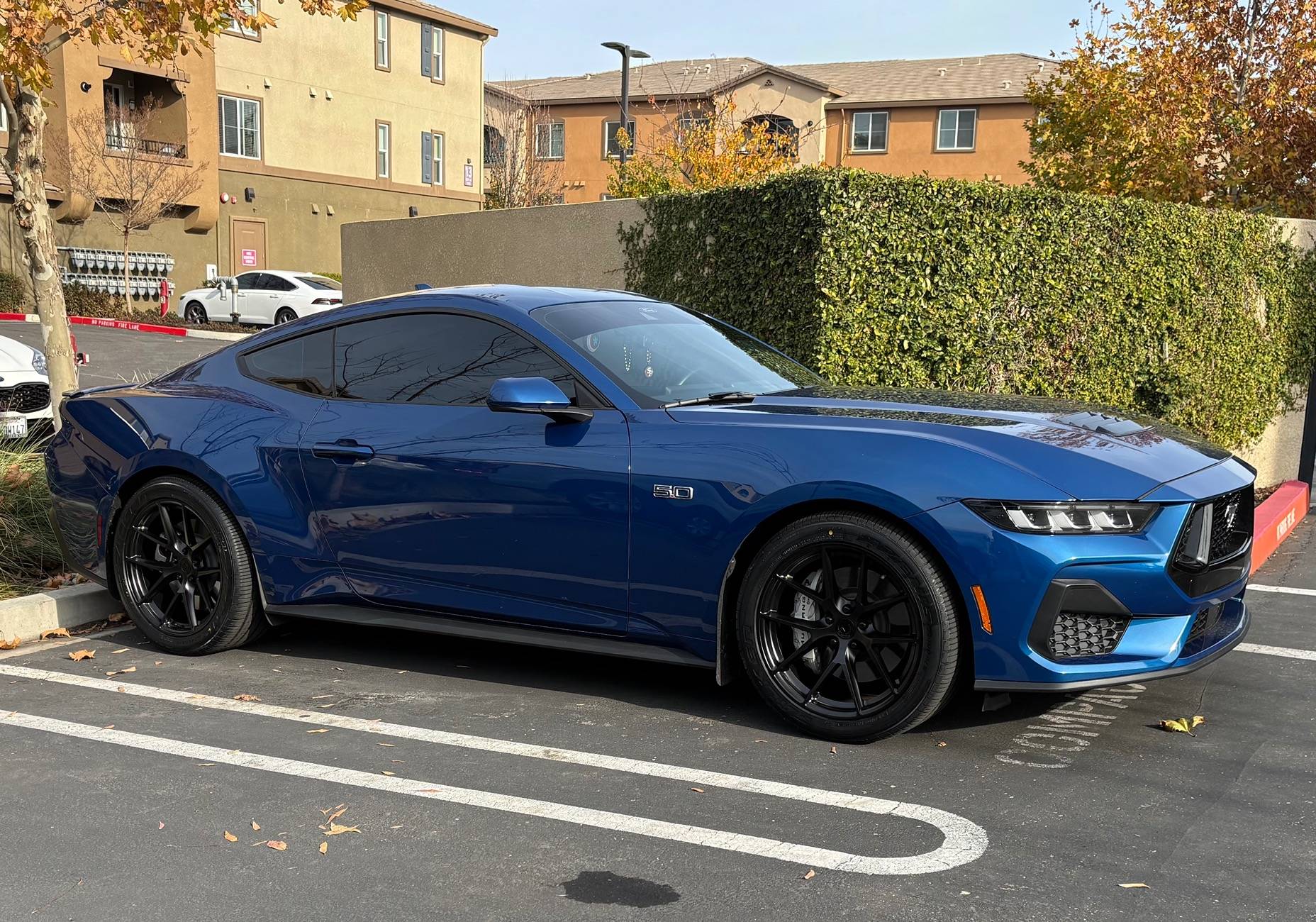 S650 Mustang Blue Lightning IMG_1949
