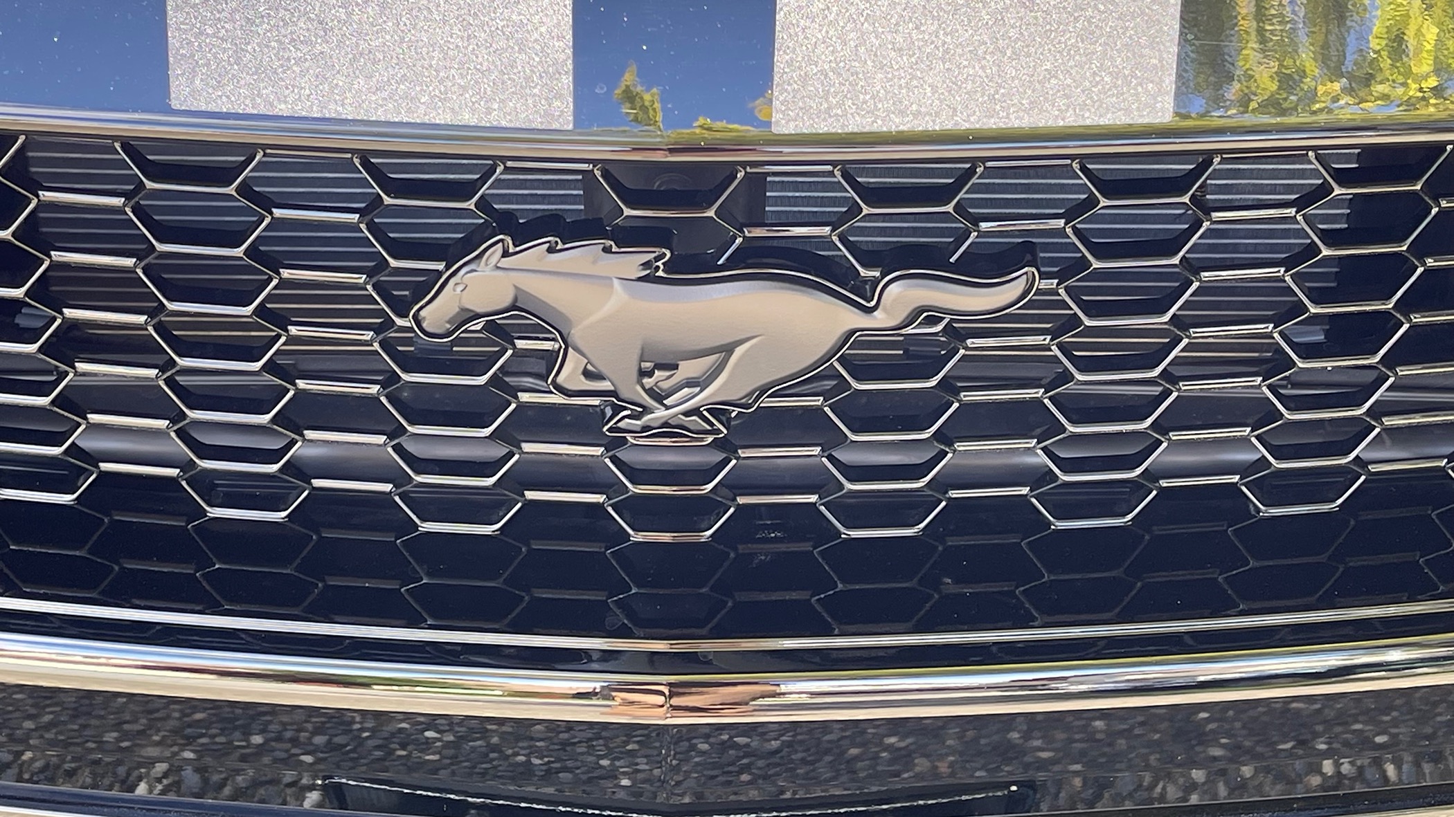S650 Mustang Painted my emblems today… IMG_1990