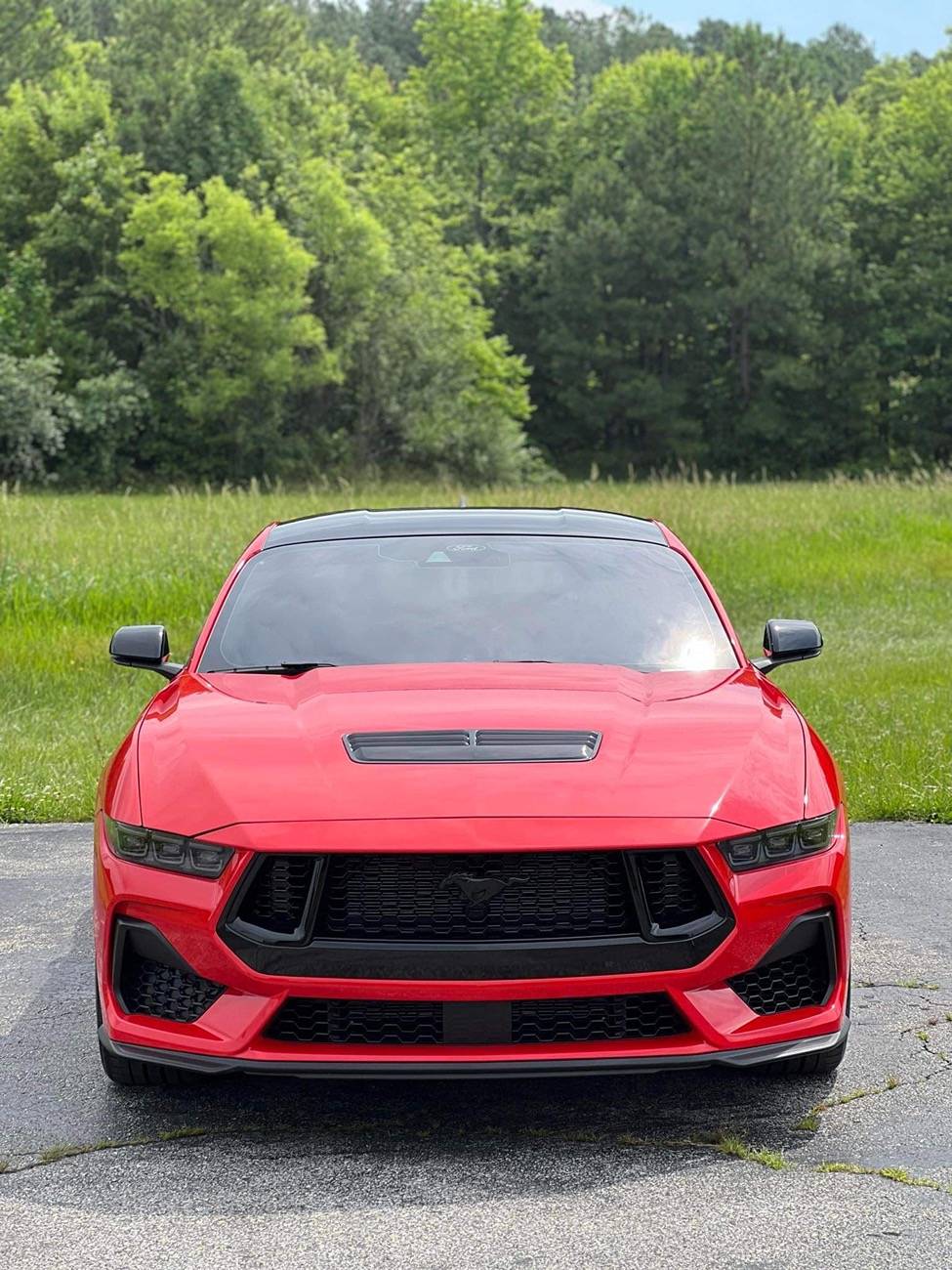 S650 Mustang Tint - I messed up, and my car was keyed IMG_1990