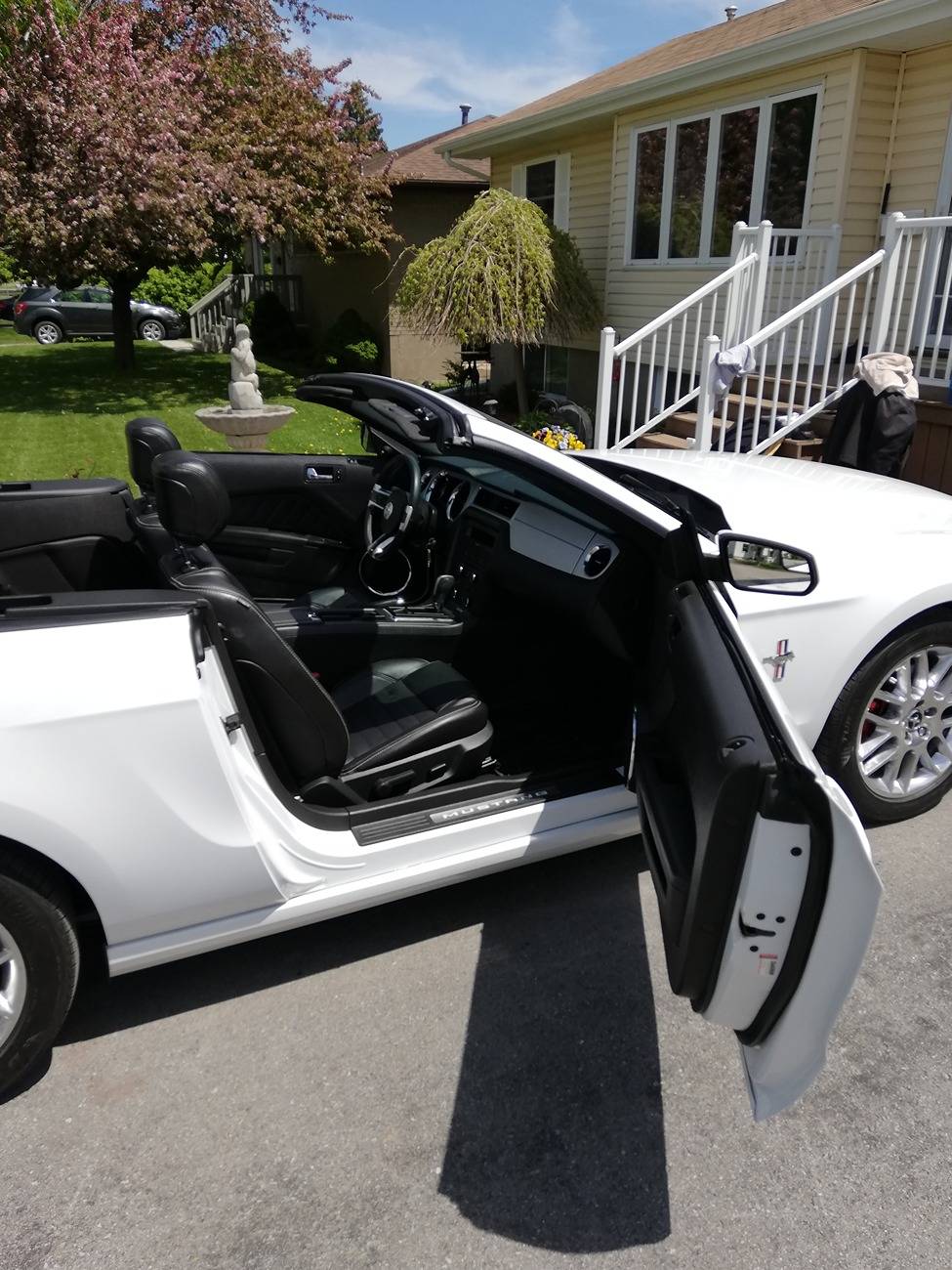 S650 Mustang Interior Colour IMG_20220518_130106