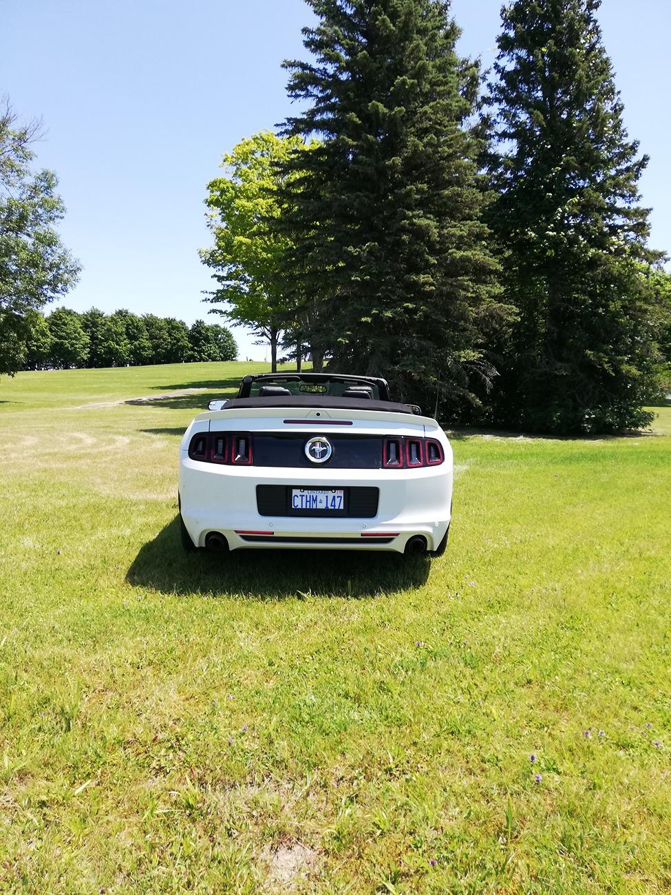 S650 Mustang Strut Tower Brace Custom Aluminum ID Plates IMG_20220709_130227