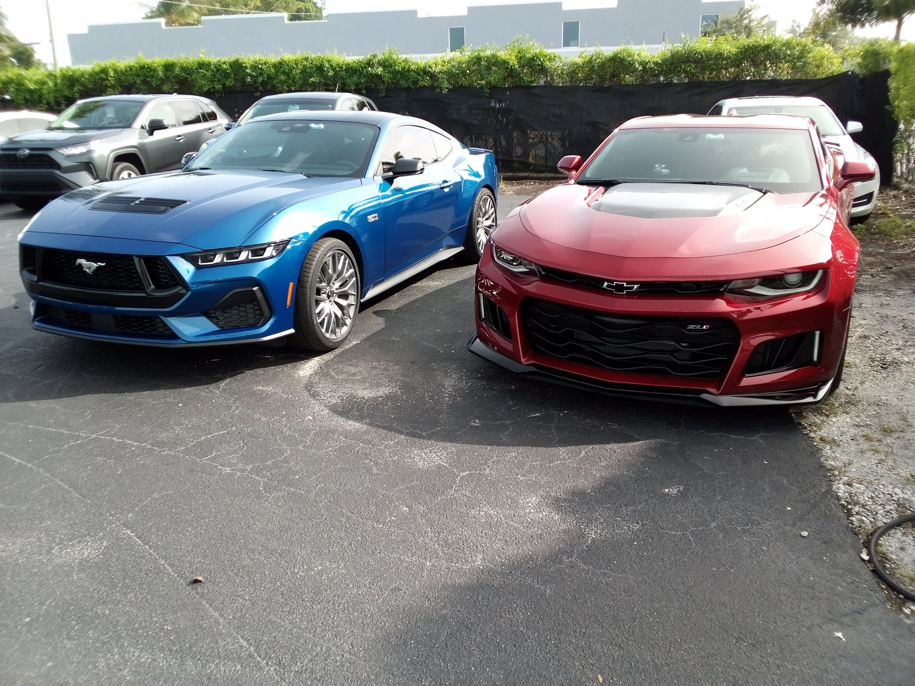 S650 Mustang ZL1 >>>> to a GT or DH? IMG_20231003_161611