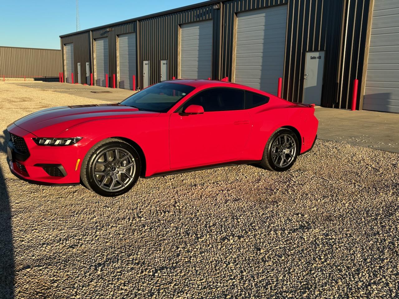 S650 Mustang Introductions & Welcome Thread 👋 IMG_20231031_190002
