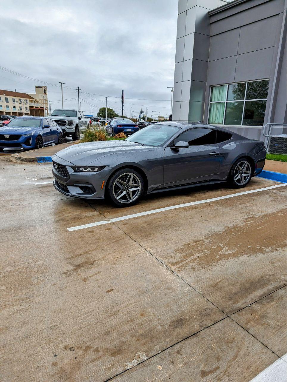 S650 Mustang Almost no love for the Ecoboost IMG_20231110_213408_669
