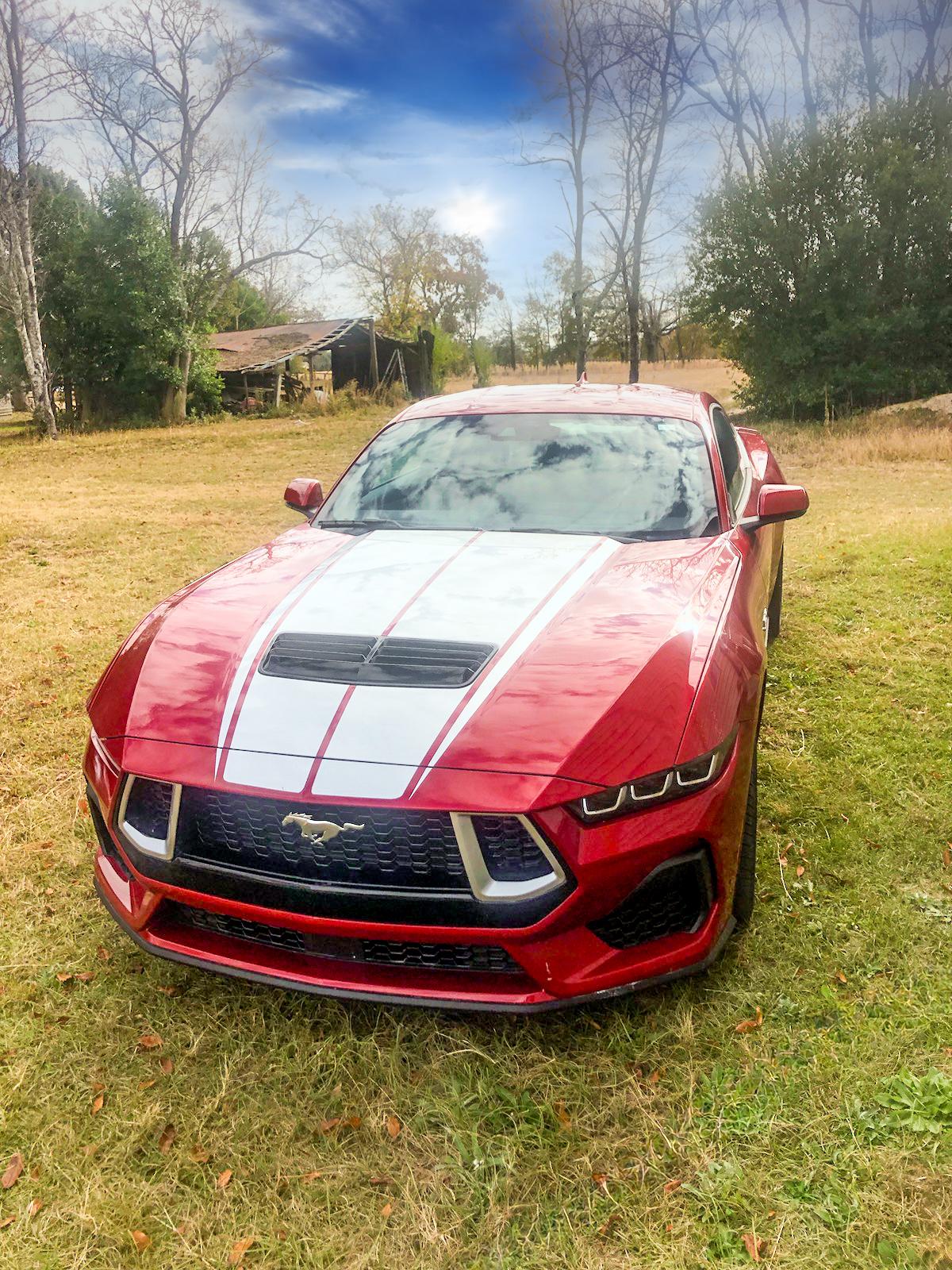 S650 Mustang Custom hood stripe and grill painted on my S650 GT img_20231120_082904-edit-