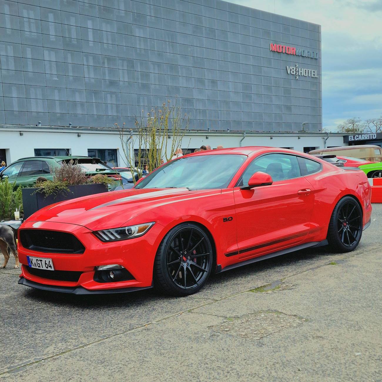 S650 Mustang How many Mustangs have owned? IMG_20240407_162240_971