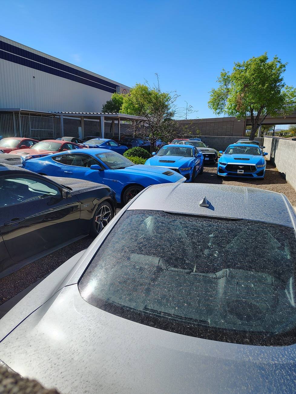 S650 Mustang Epic Drives IMG_20250406_094722535_HDR