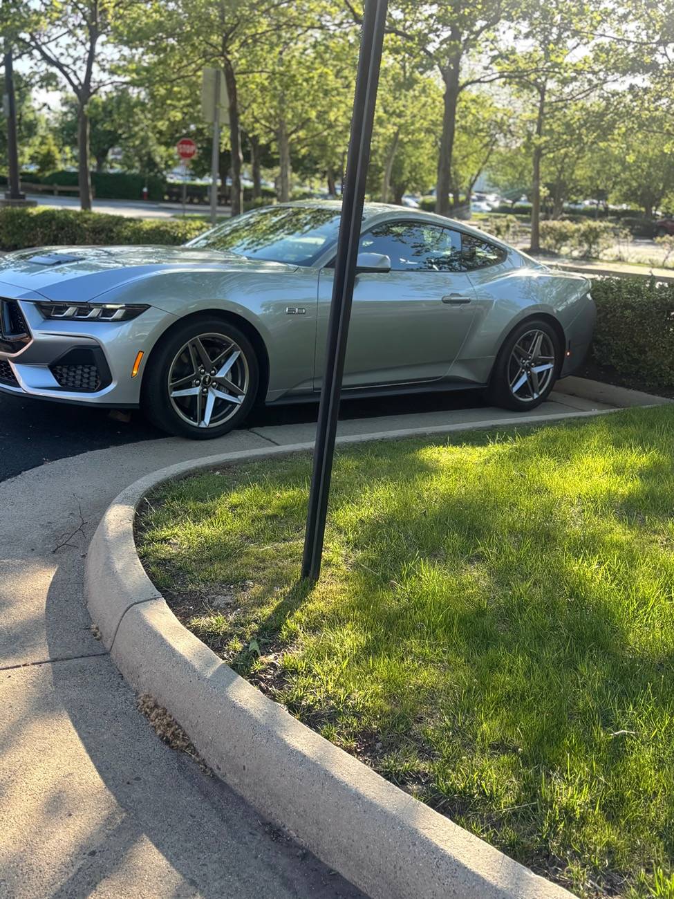 S650 Mustang Introductions & Welcome Thread 👋 IMG_2076