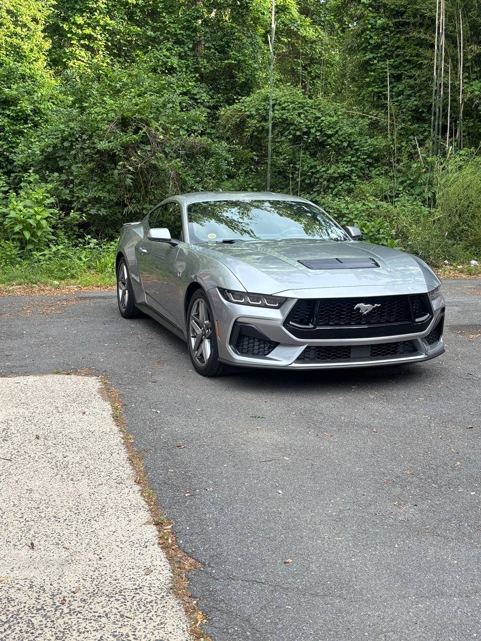 S650 Mustang Introductions & Welcome Thread 👋 IMG_2111