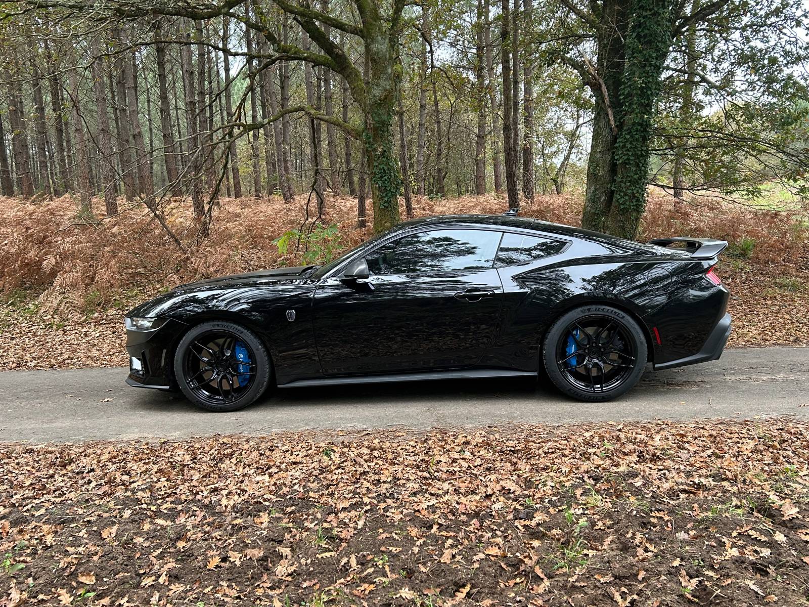 S650 Mustang Picture Request - Velgen Classic5 V2 on Stock Suspension IMG_2197