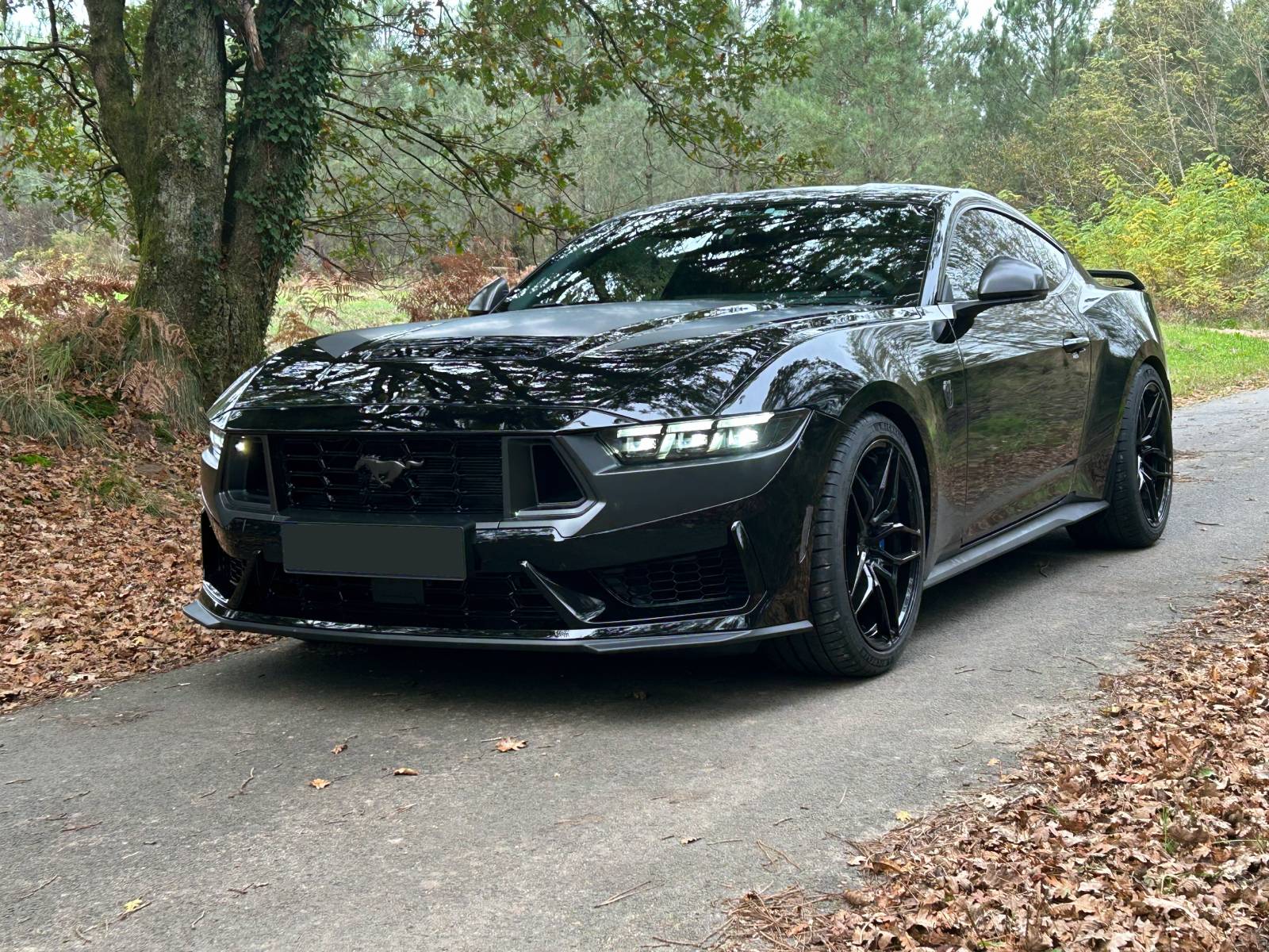 S650 Mustang Picture Request - Velgen Classic5 V2 on Stock Suspension IMG_2198
