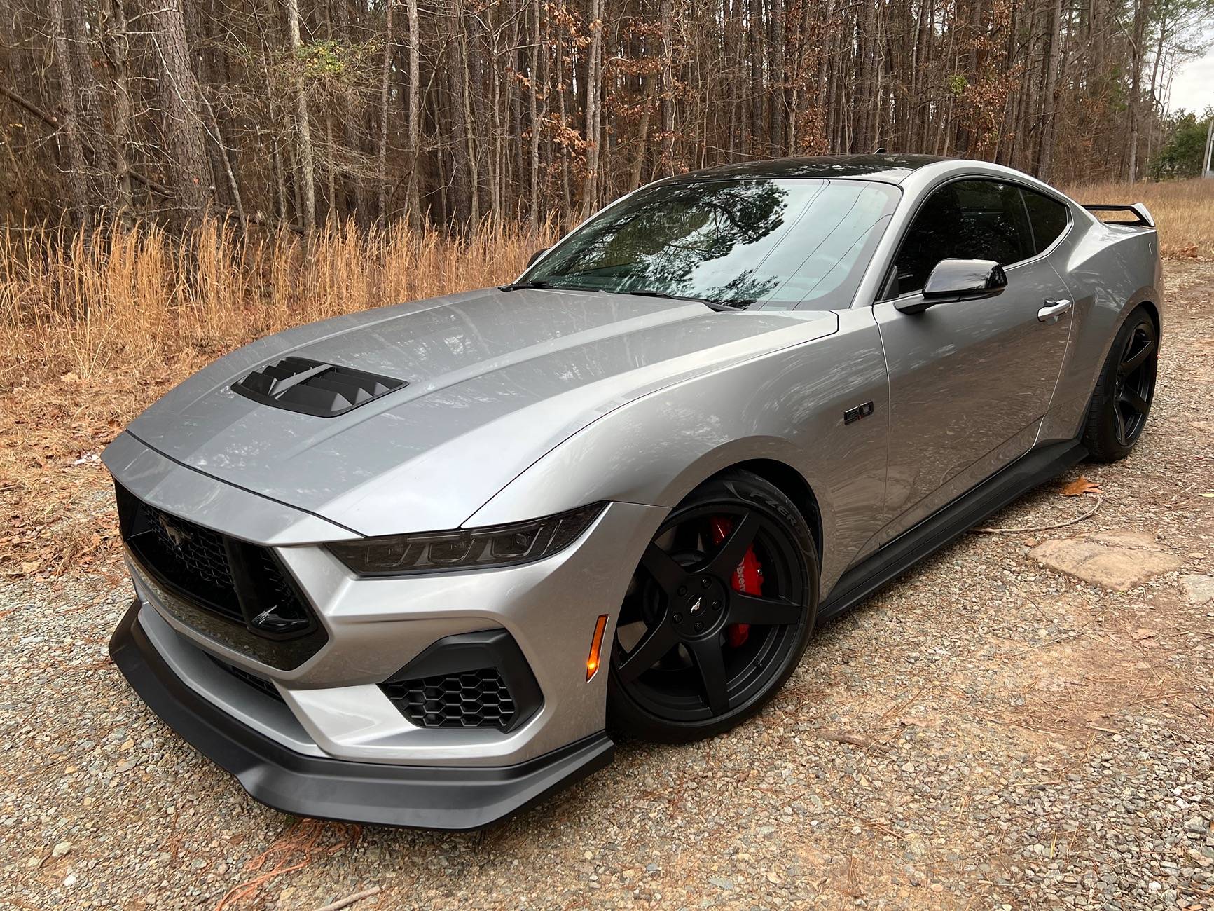 S650 Mustang Official ICONIC SILVER Mustang S650 Thread IMG_2264