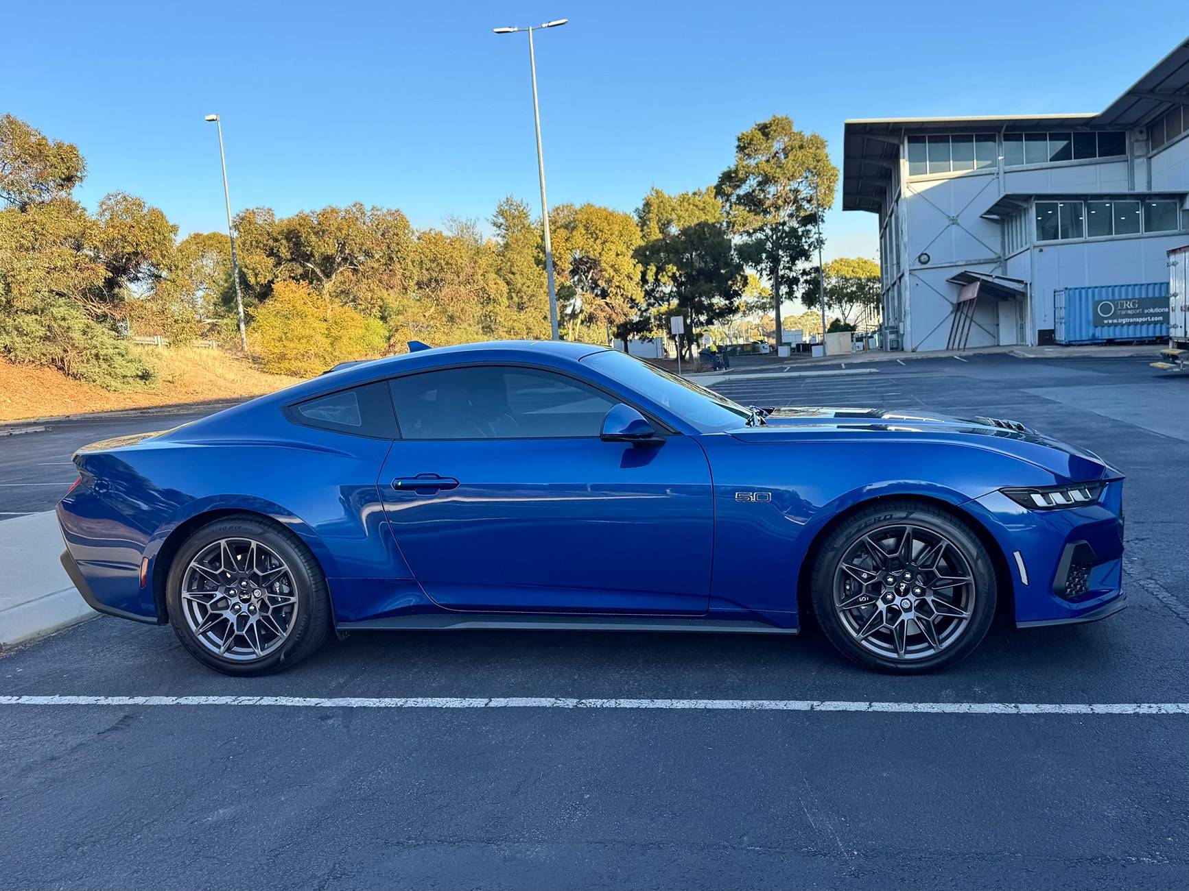 S650 Mustang Cool Daily Random S650 Mustang Pics -- Post Yours! 📸 IMG_2268