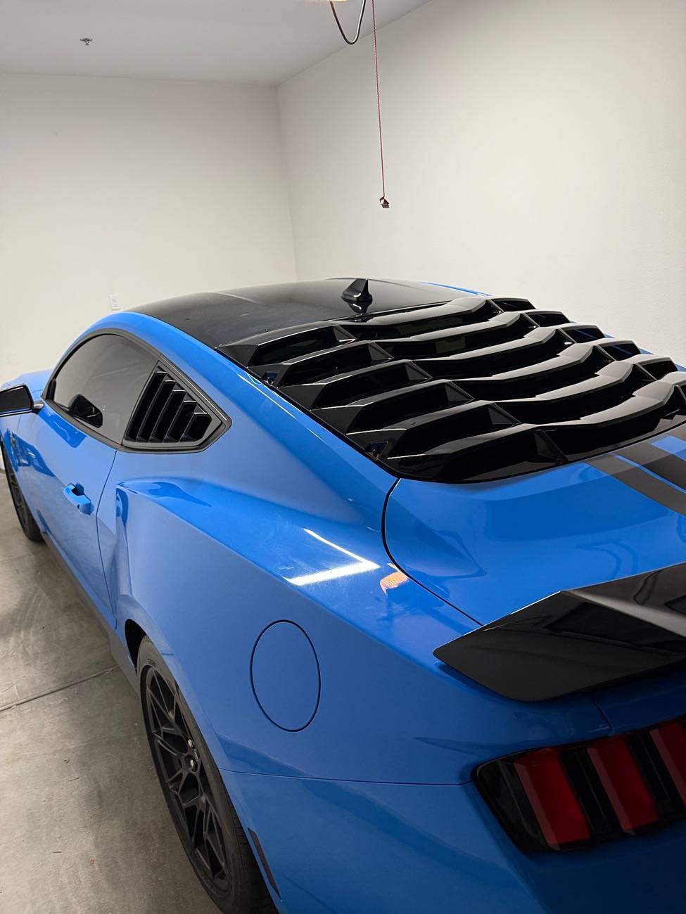 S650 Mustang Cool Daily Random S650 Mustang Pics -- Post Yours! 📸 IMG_2286