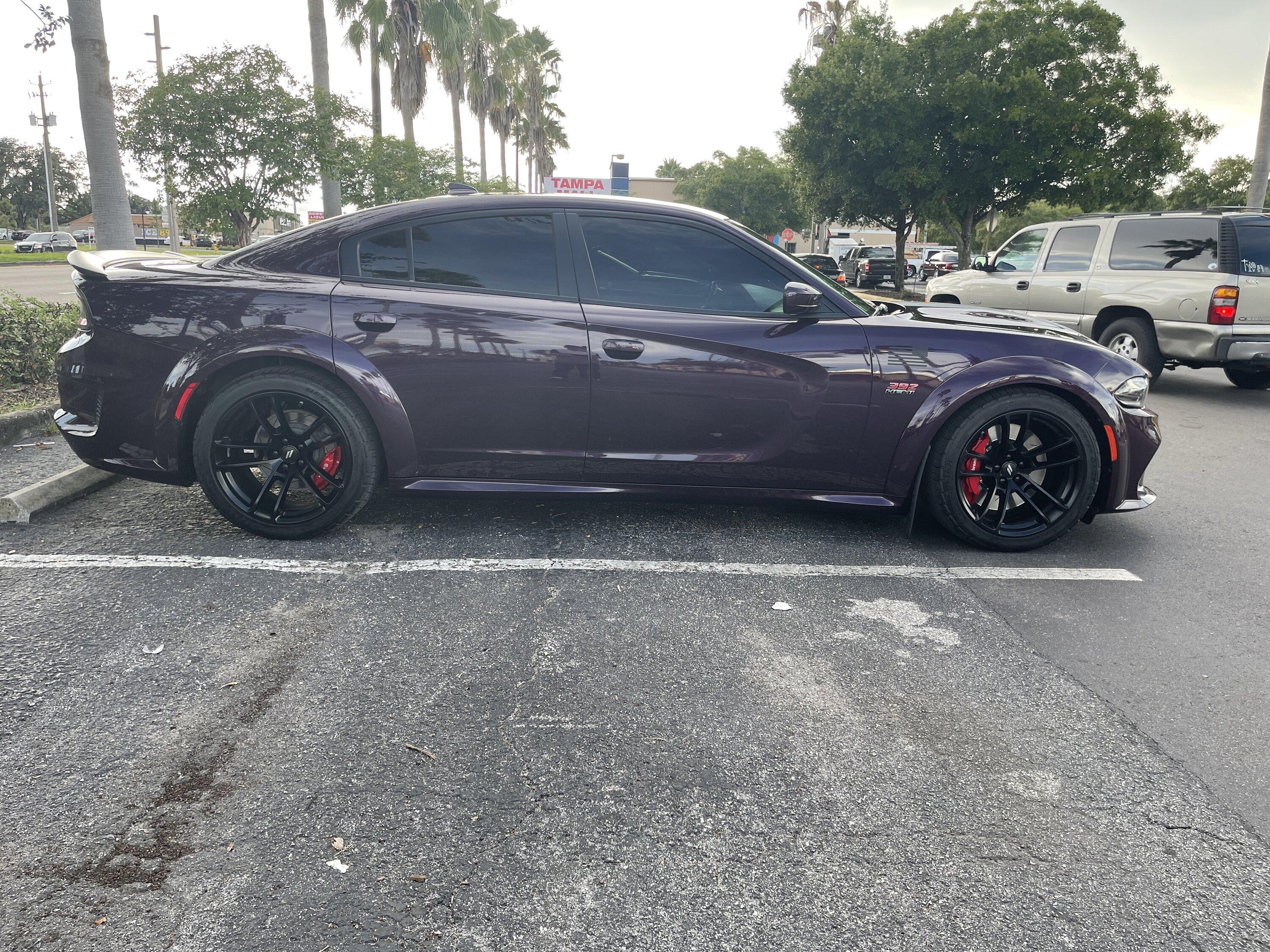 S650 Mustang What are you upgrading from? IMG_2288.JPG