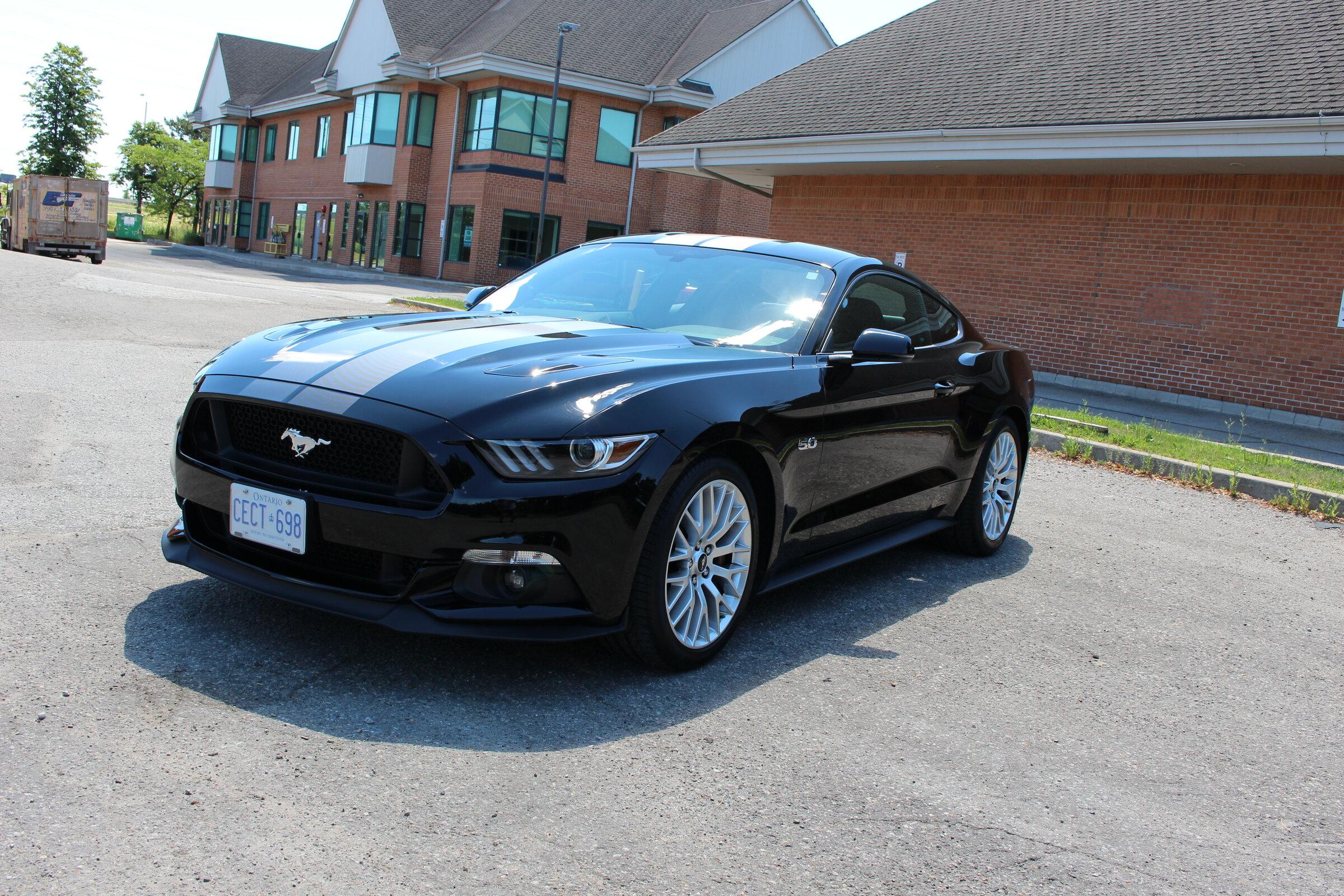 S650 Mustang GT500 Mustang S650 Mule! 📸 IMG_2292.JPG