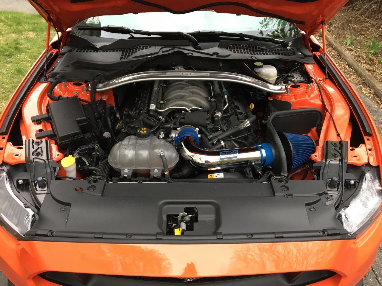 S650 Mustang Pic Test IMG_2300