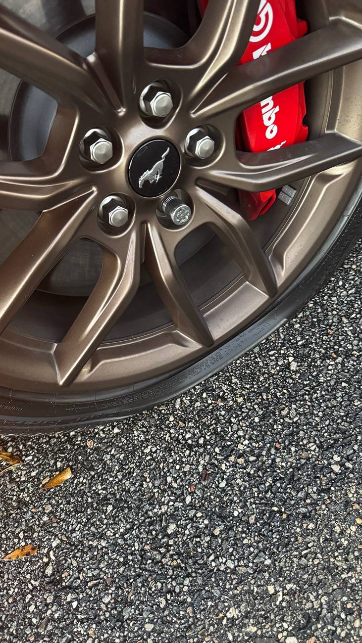 S650 Mustang Flat Tire this morning (pictures) IMG_2324