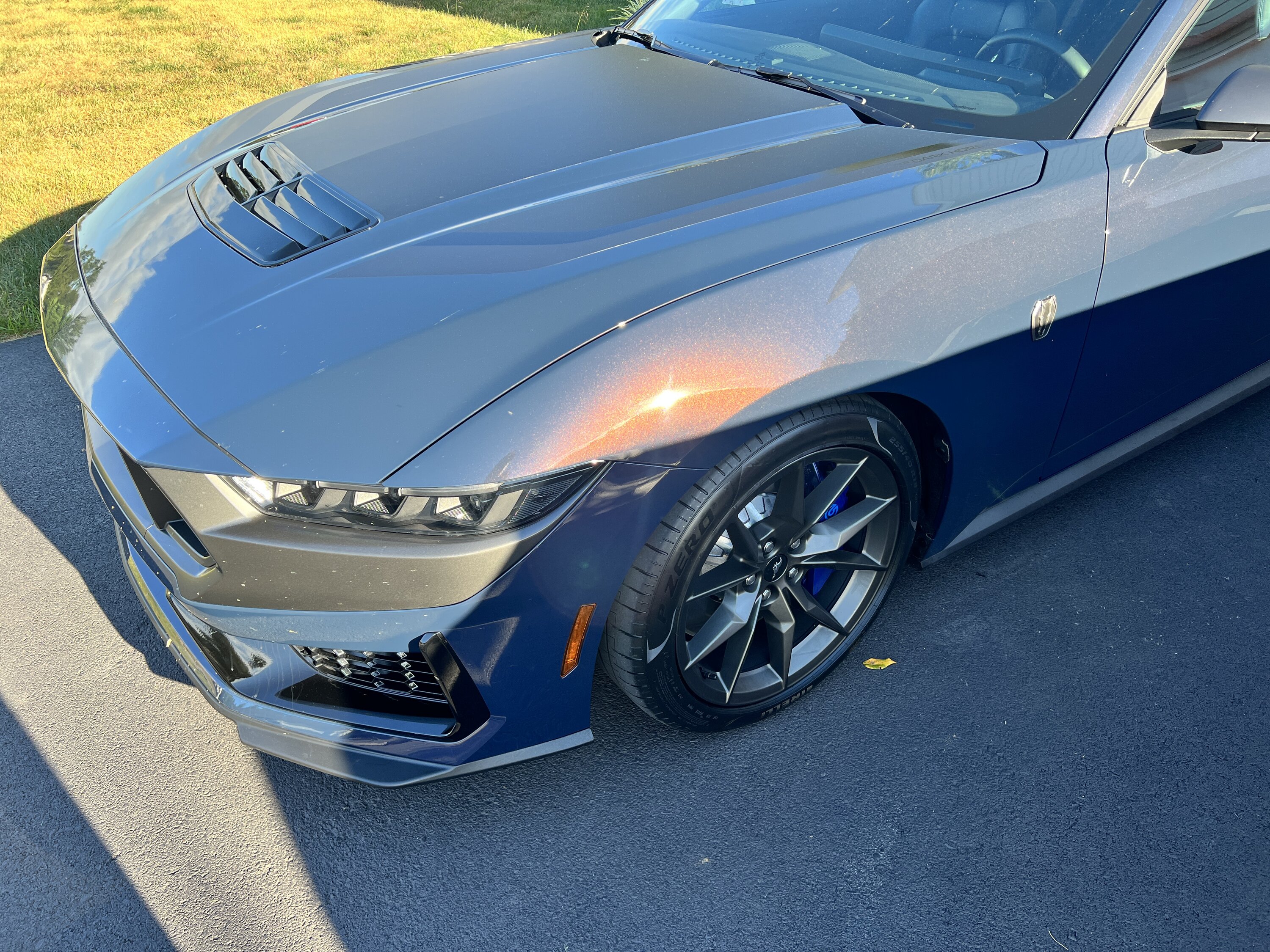 S650 Mustang Blue Ember Dark Horse For Sale - Price Reduced IMG_2391.JPG