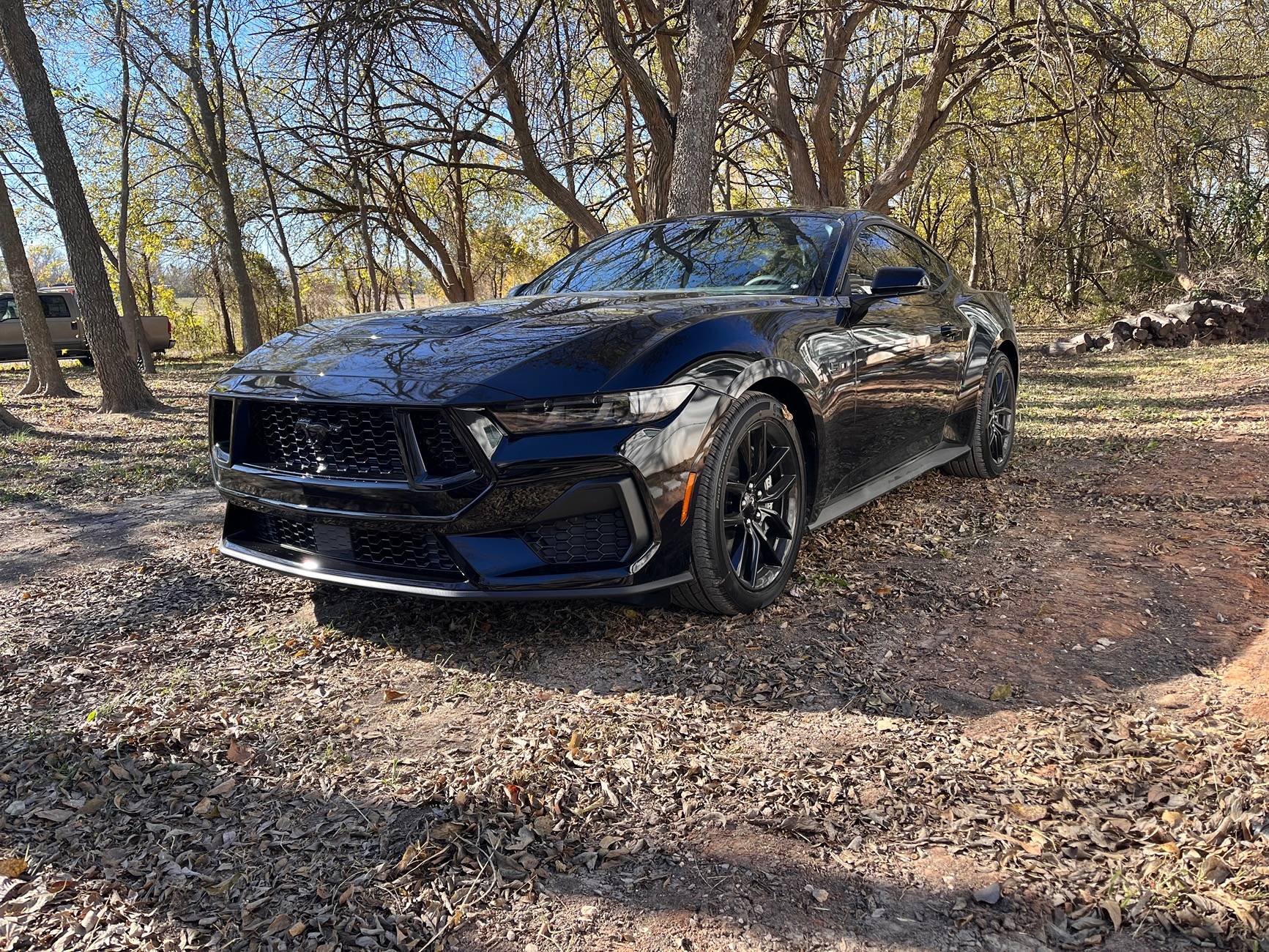 S650 Mustang Cool Daily Random S650 Mustang Pics -- Post Yours! 📸 IMG_2403