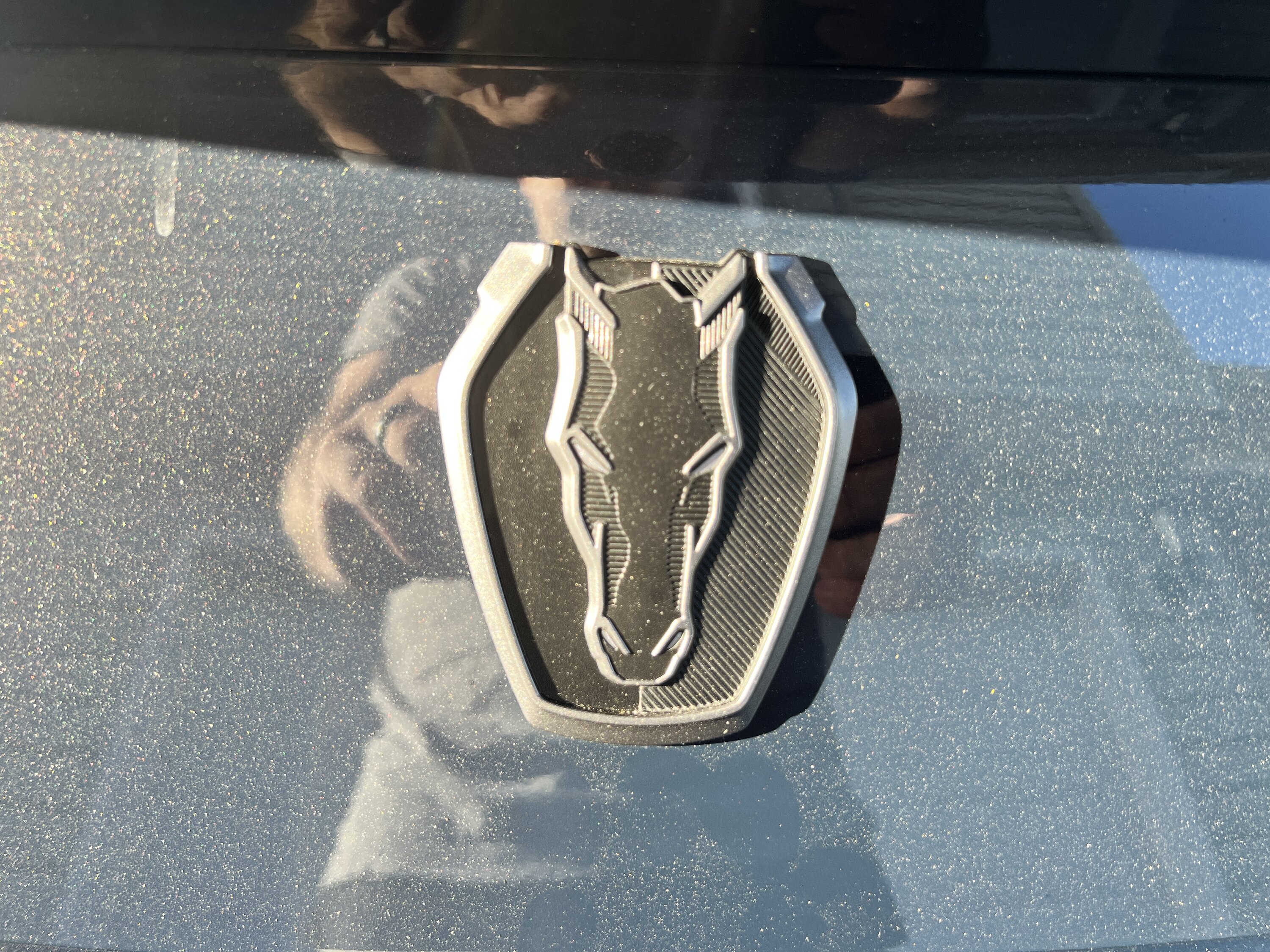 S650 Mustang Blue Ember Dark Horse arrived! IMG_2413.JPG