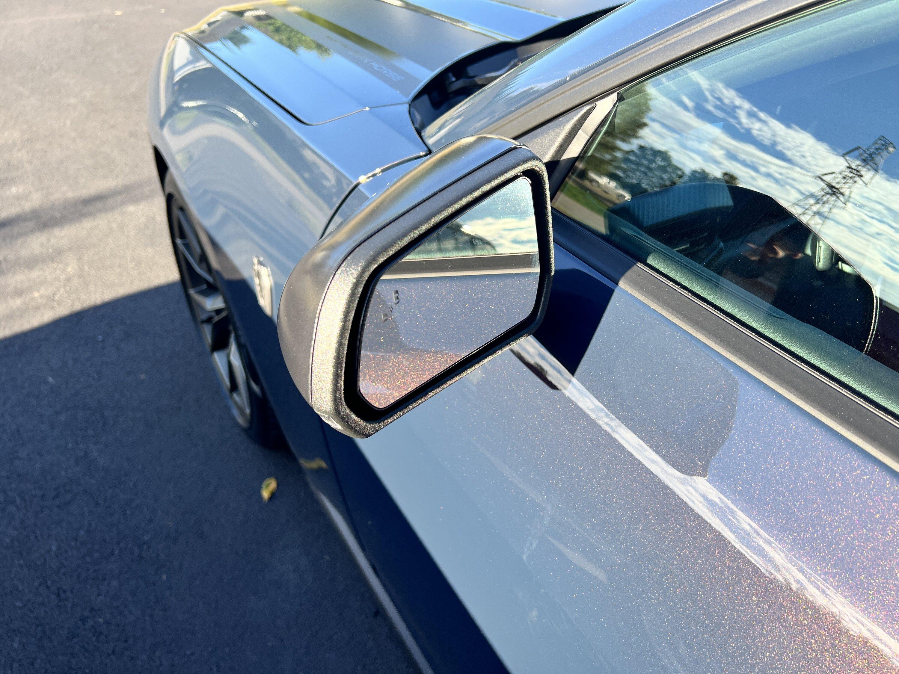 S650 Mustang Blue Ember Dark Horse arrived! IMG_2414.JPG