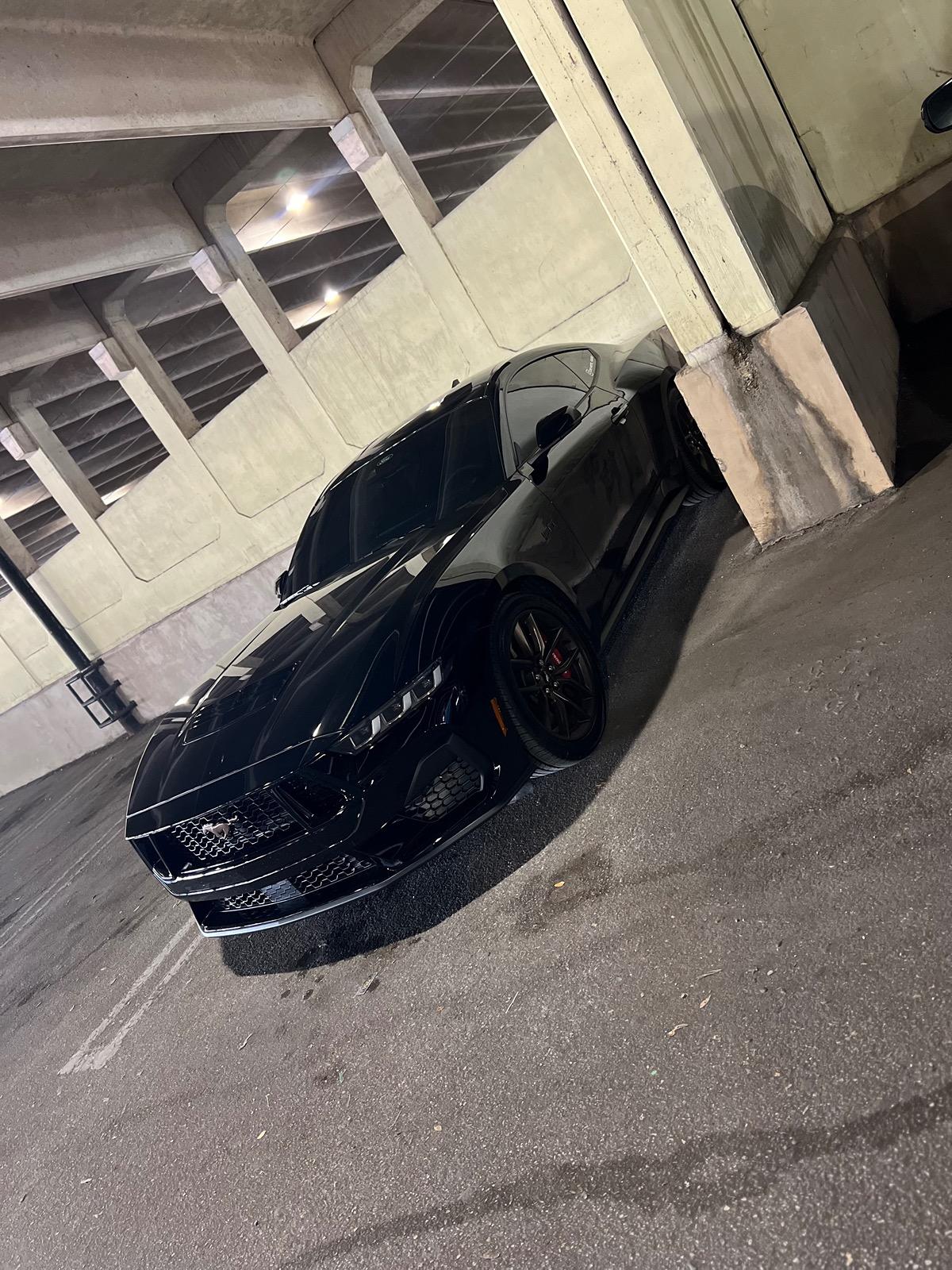S650 Mustang Show off your stang! IMG_2508
