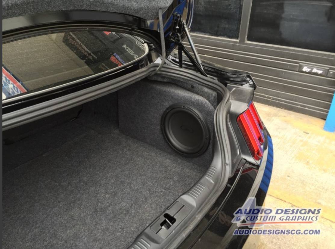 S650 Mustang Subwoofer for 9 Speaker System? IMG_2537