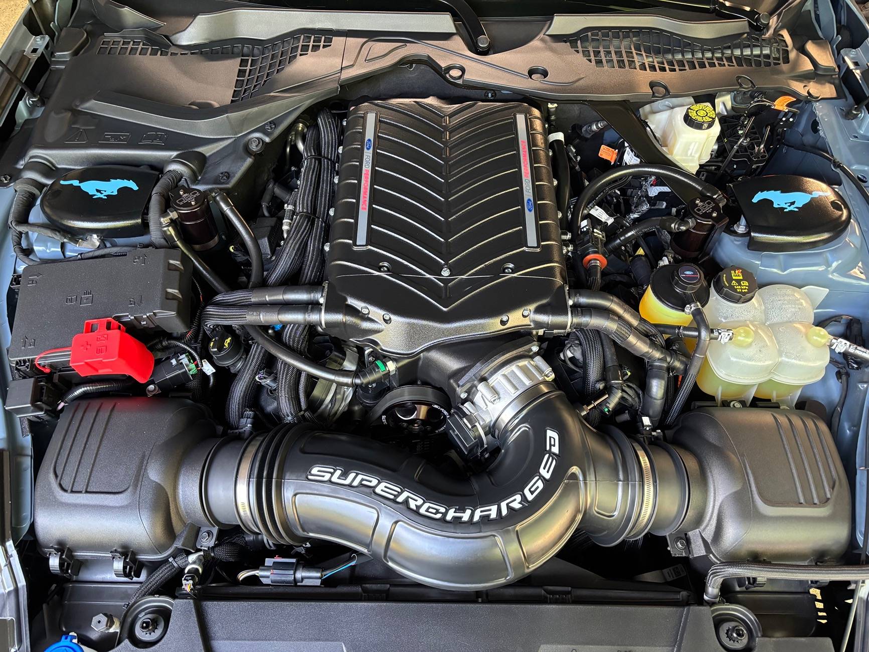 S650 Mustang Whipple intake tube “Supercharged” vinyl letters IMG_2685
