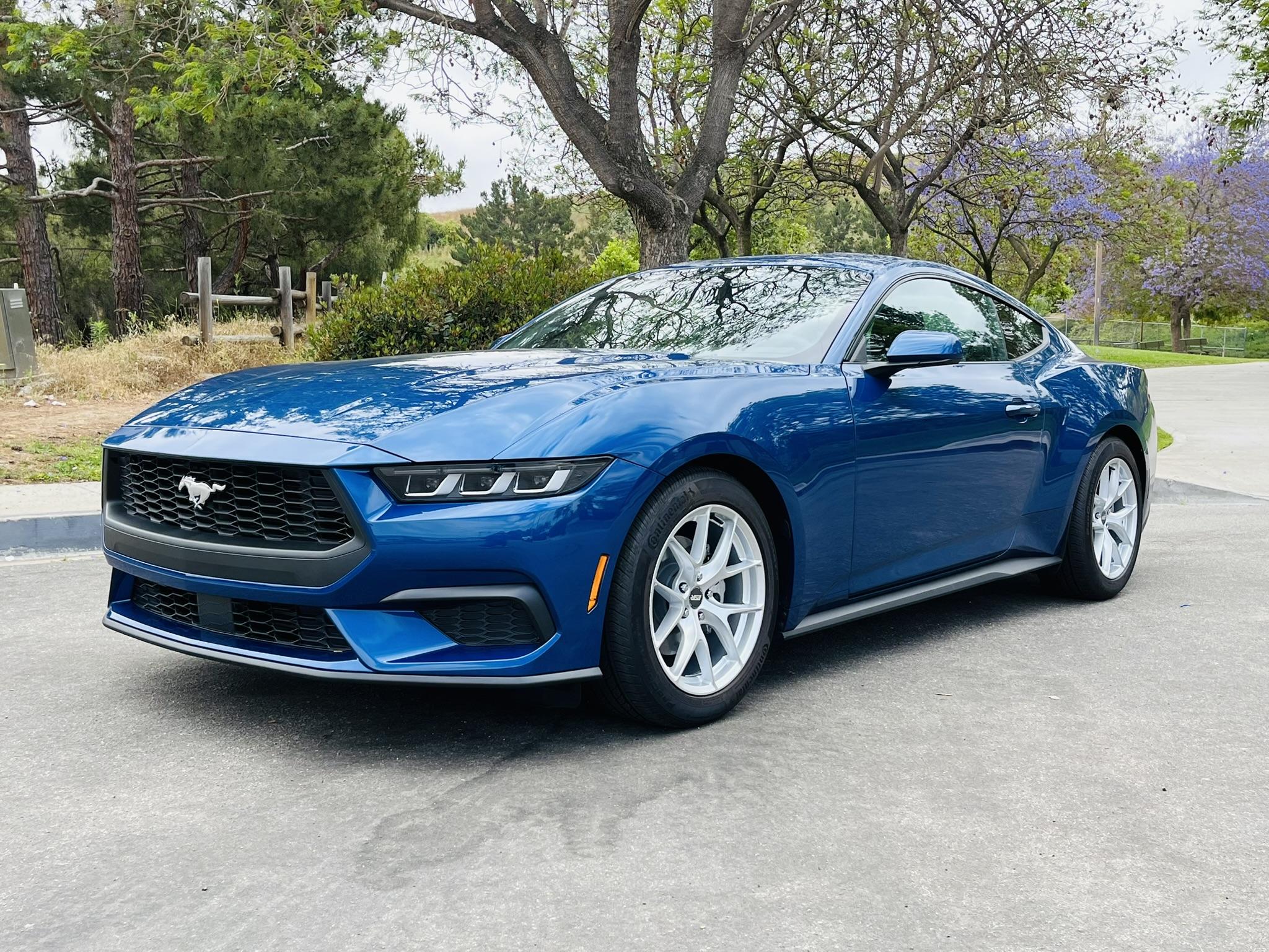 S650 Mustang Official ATLAS BLUE Mustang S650 Thread IMG_2708.JPEG