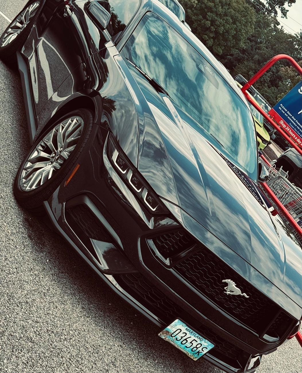 S650 Mustang What did you do to your S650 Mustang today?? 🙋🏻‍♂️ IMG_2759