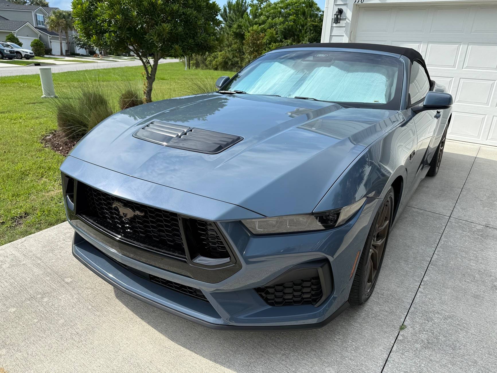 S650 Mustang Cool Daily Random S650 Mustang Pics -- Post Yours! 📸 IMG_2767