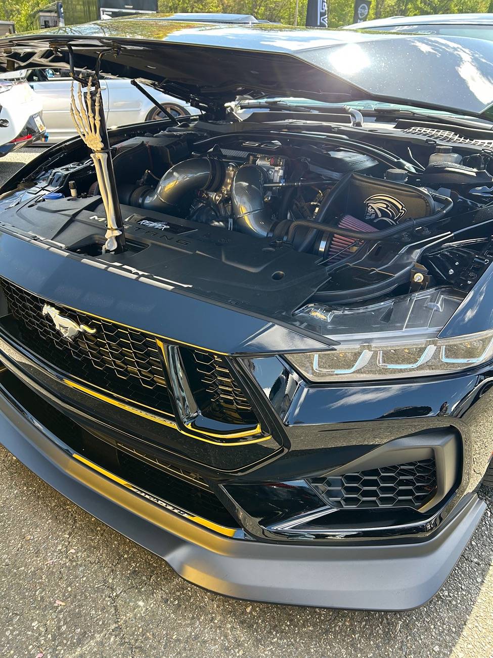 S650 Mustang Cecil county car show was a huge turnout IMG_2768