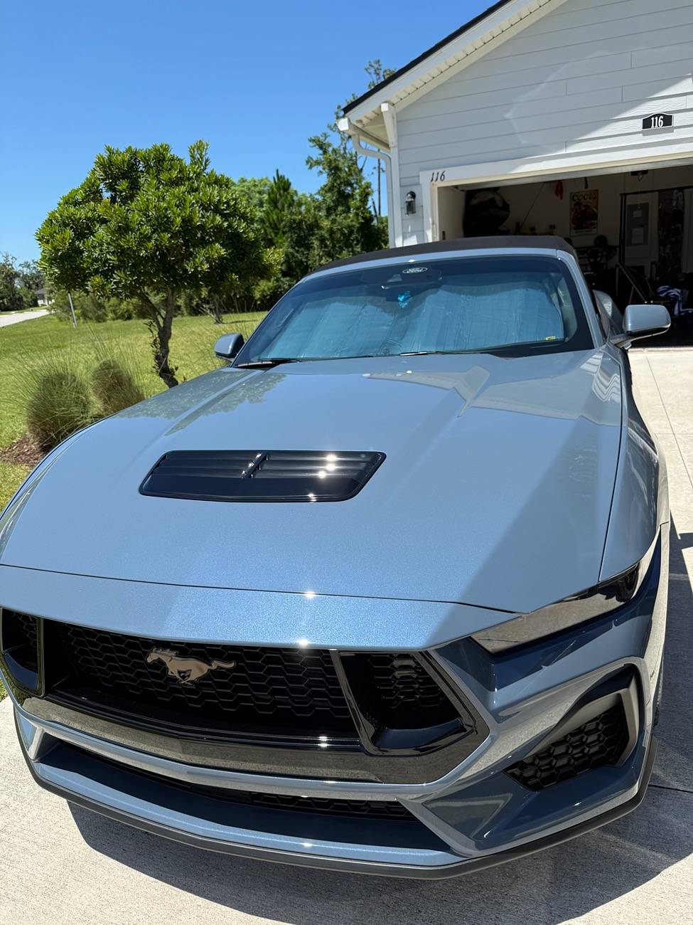 S650 Mustang Cool Daily Random S650 Mustang Pics -- Post Yours! 📸 IMG_2784