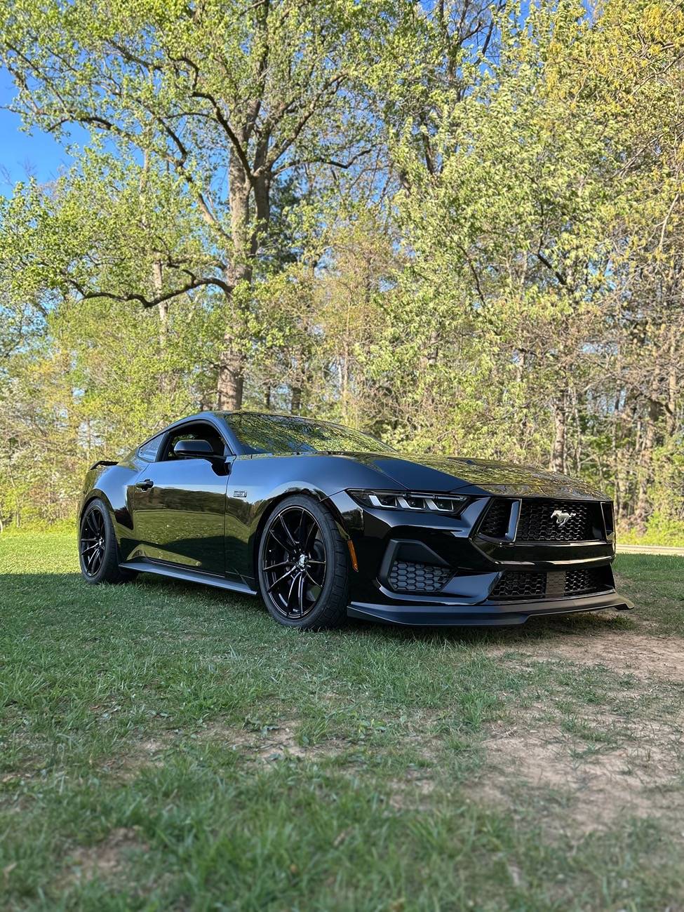 S650 Mustang Cecil county car show was a huge turnout IMG_2822