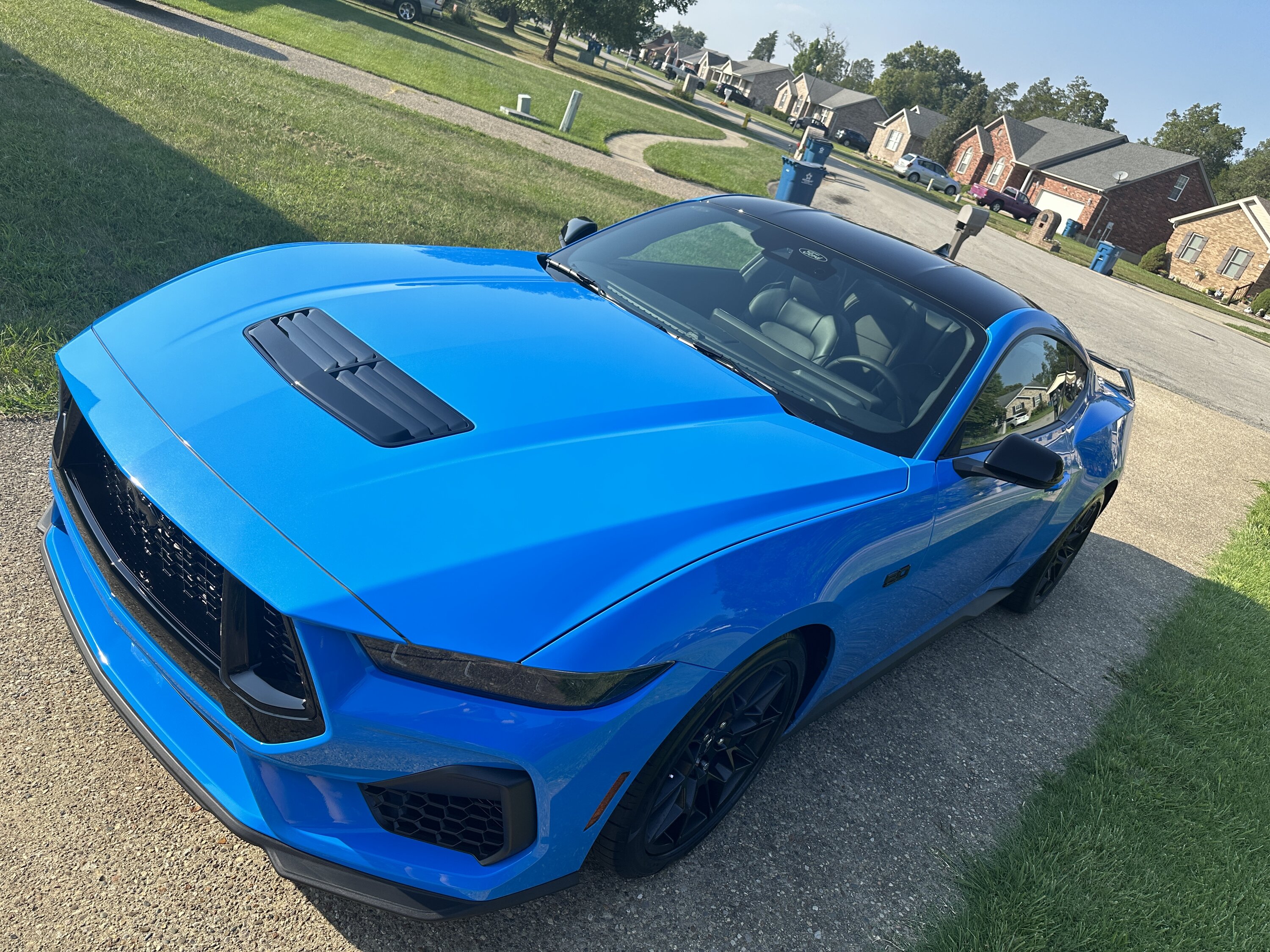 S650 Mustang Official GRABBER BLUE Mustang S650 Thread IMG_2834