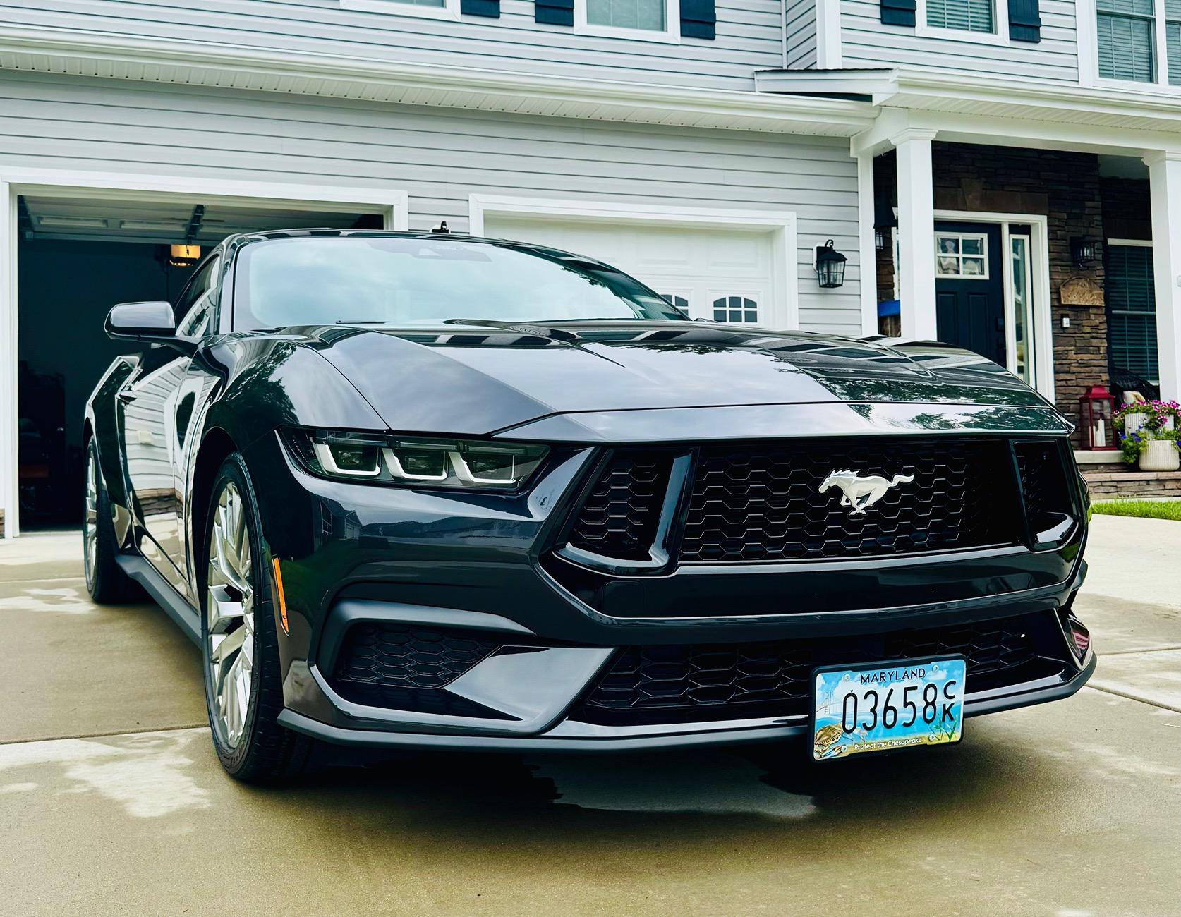 S650 Mustang One Year Anniversary - Still Love This Car IMG_2855
