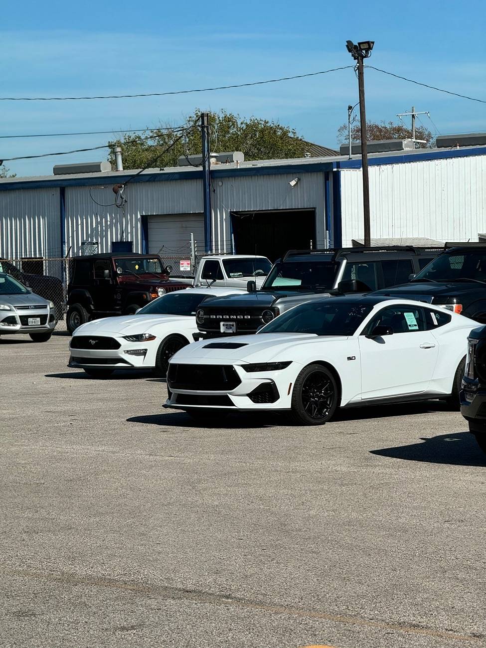 S650 Mustang Free Christmas Giveaway by Screen Protech IMG_2901